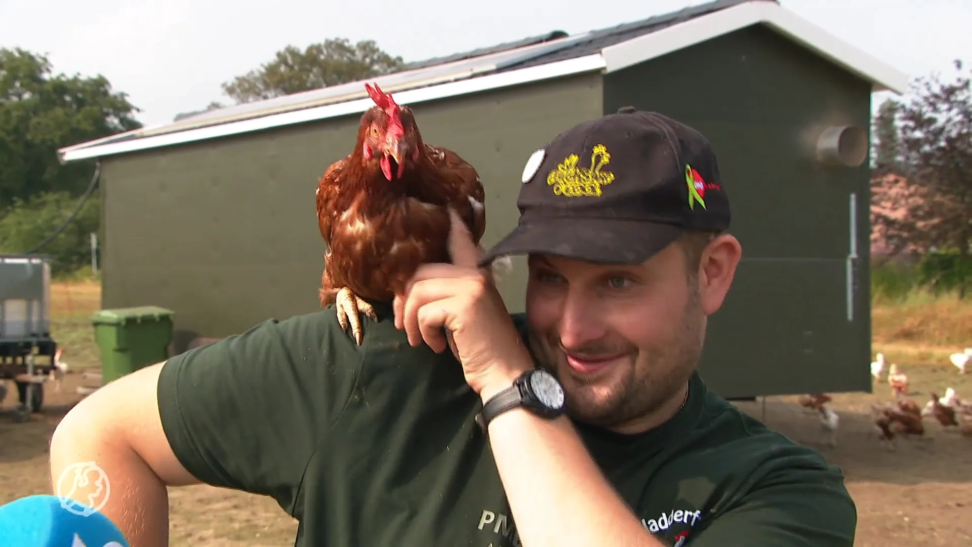 Peters kipcaravan is 'win-win-winsituatie' voor kippen en boeren