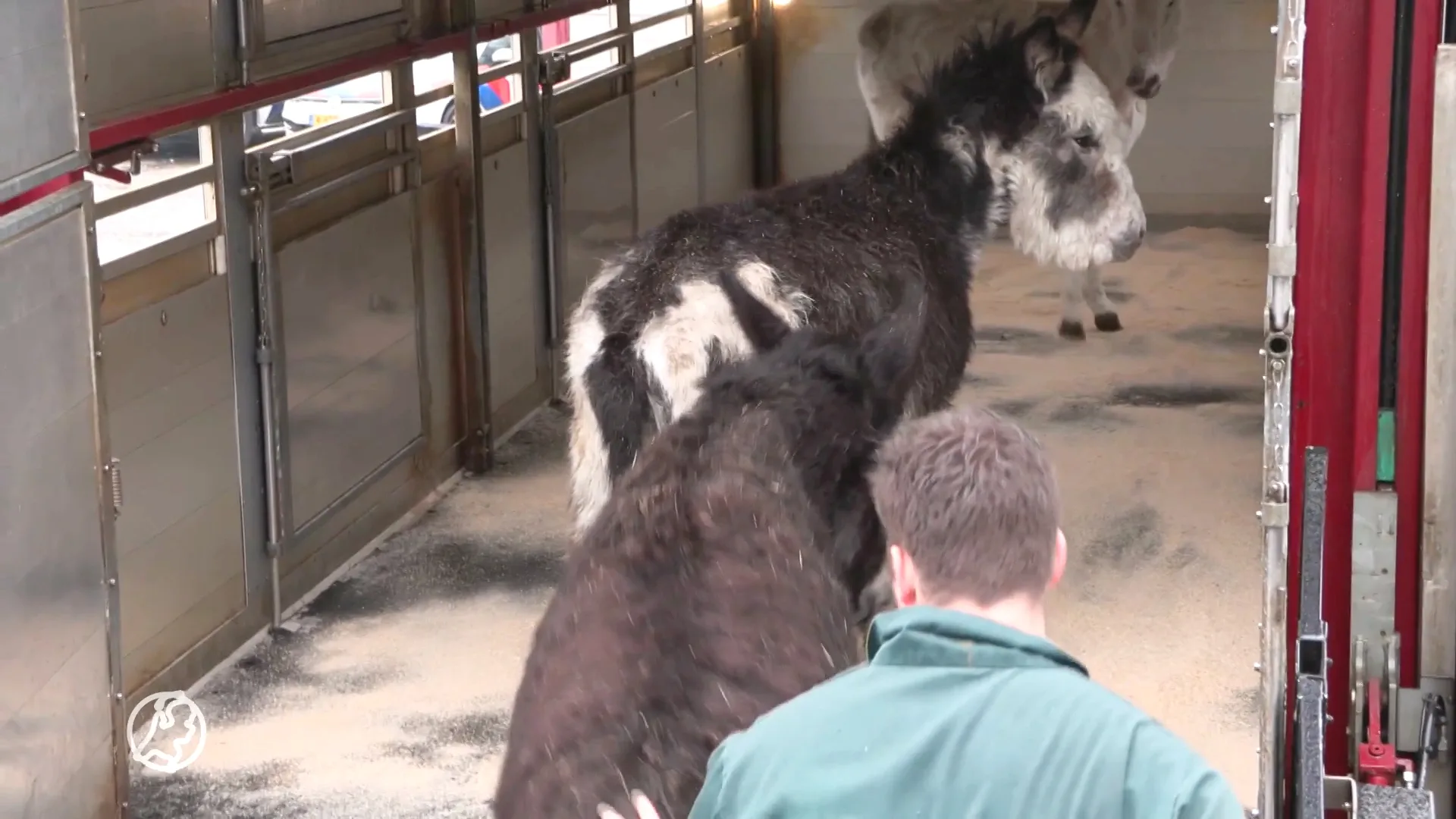Horrorfokker gaat totaalverbod juridisch aanvechten: 'Het is schandalig'