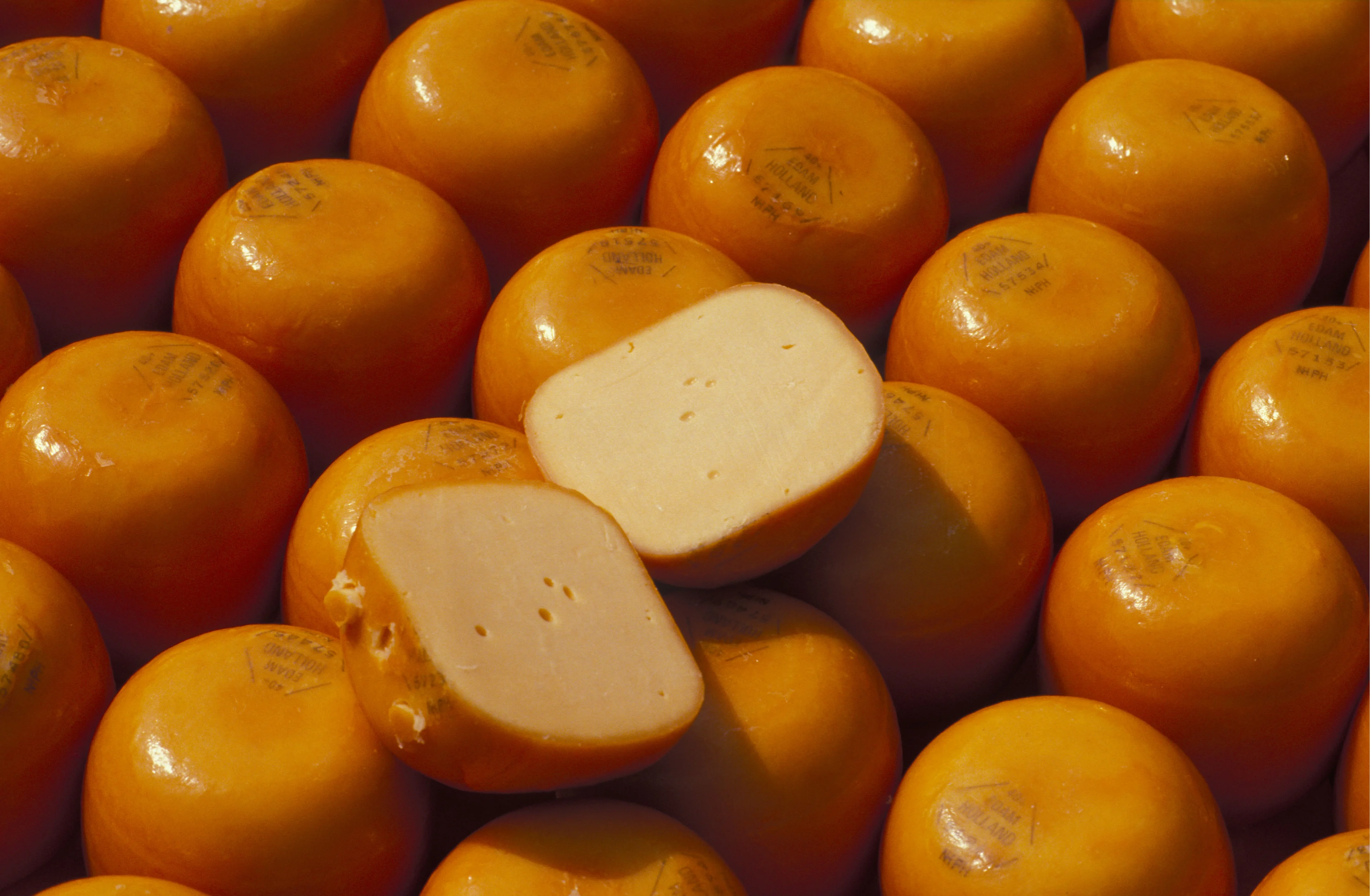 Kaas hamsteren? Staking in de zuivel: 'Trots op onze kaas, maar niet op onze baas'