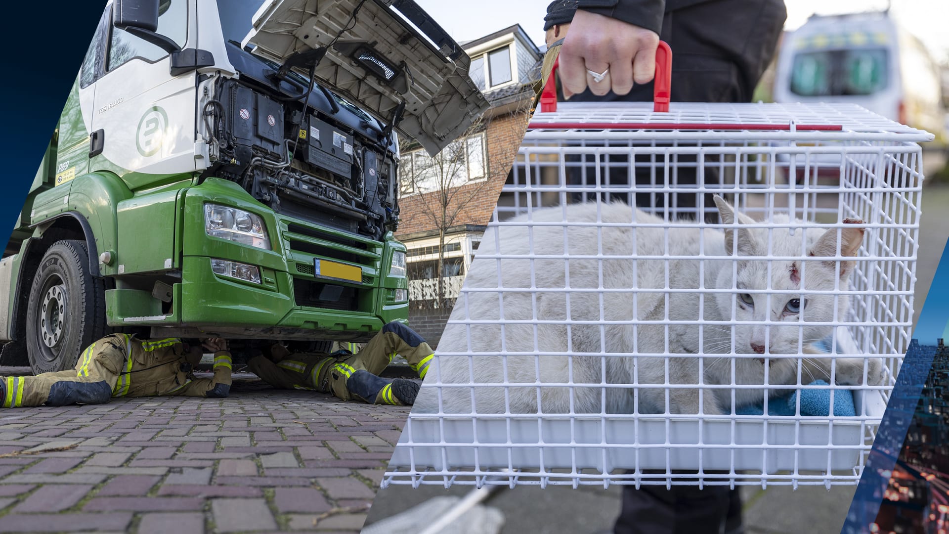 Kat zoekt warmte in motorblok, maar zit daarna klem: brandweer moet dier redden