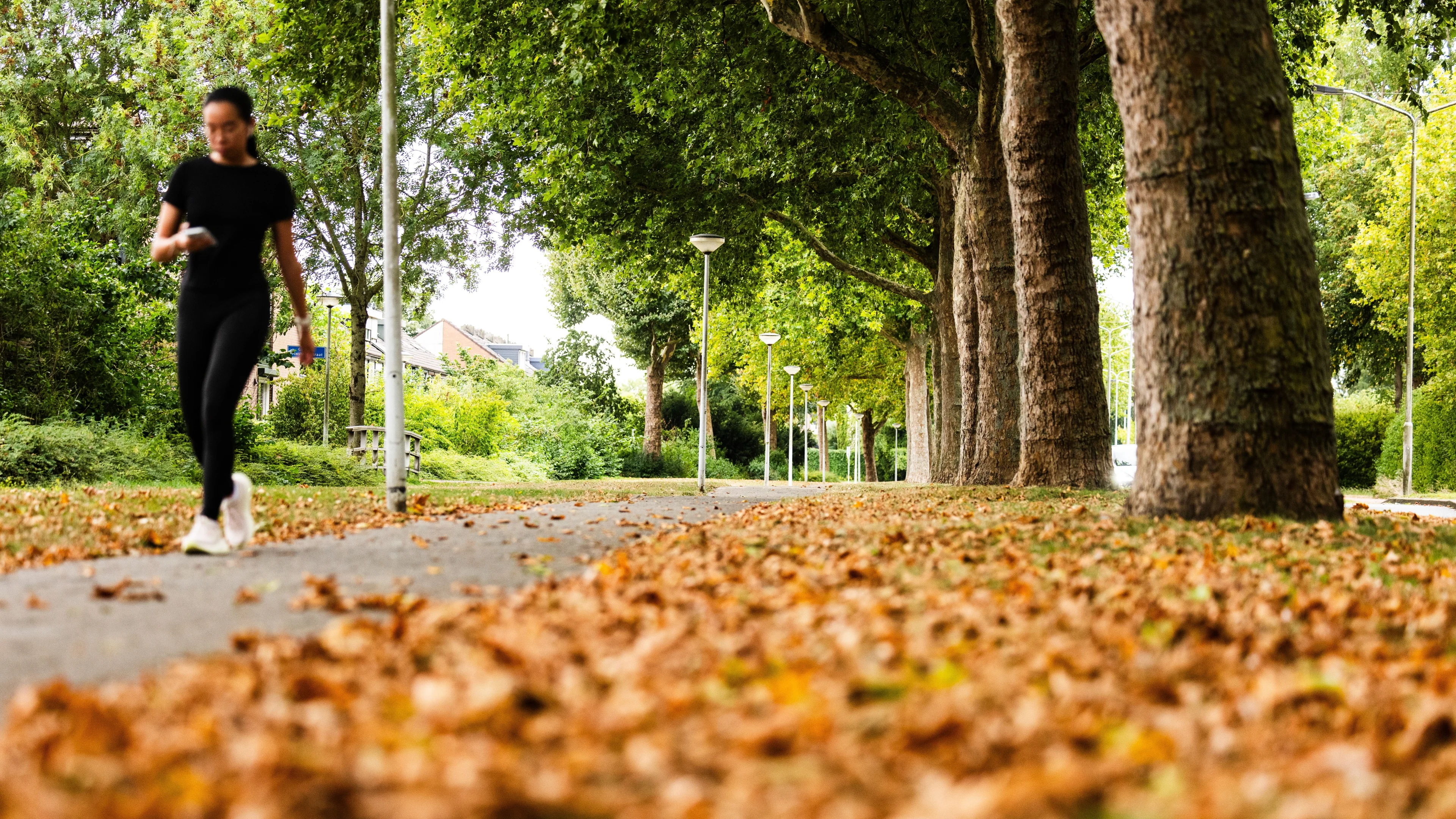 Herfstvakantie start droog: zon breekt door, wel koude nachten