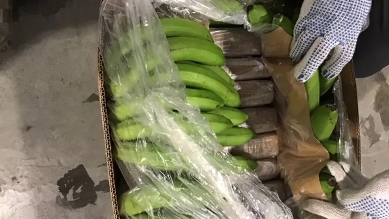 Douane in haven Vlissingen vindt 921 kilo cocaïne tussen de bananen