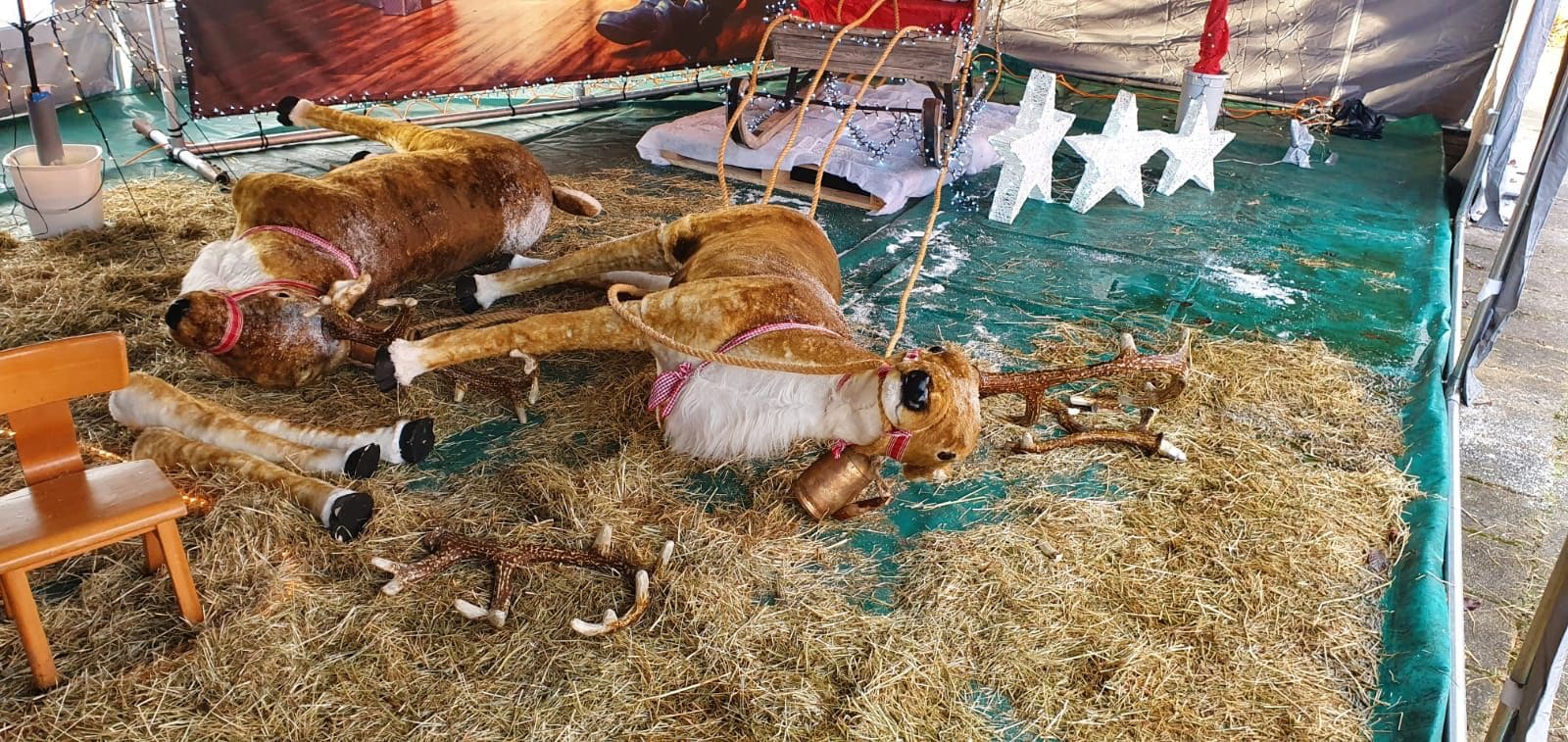 Kerststal in voormalig mooiste kerststraat kort en klein geslagen: 'Denk dat het van dichtbij komt'