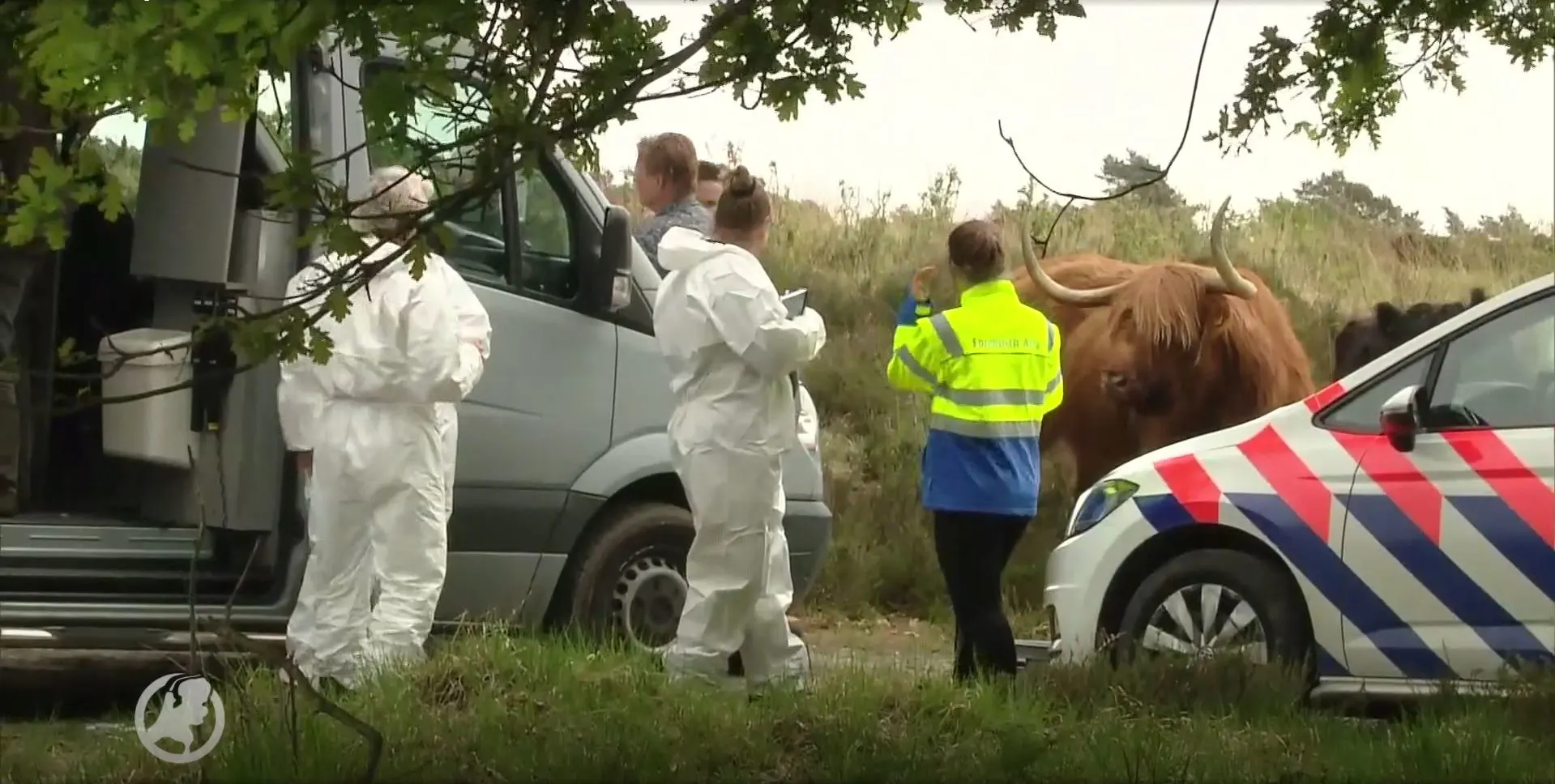 Politie schakelt hulp burgers in: wie is de man die levenloos werd gevonden op de Meinweg?