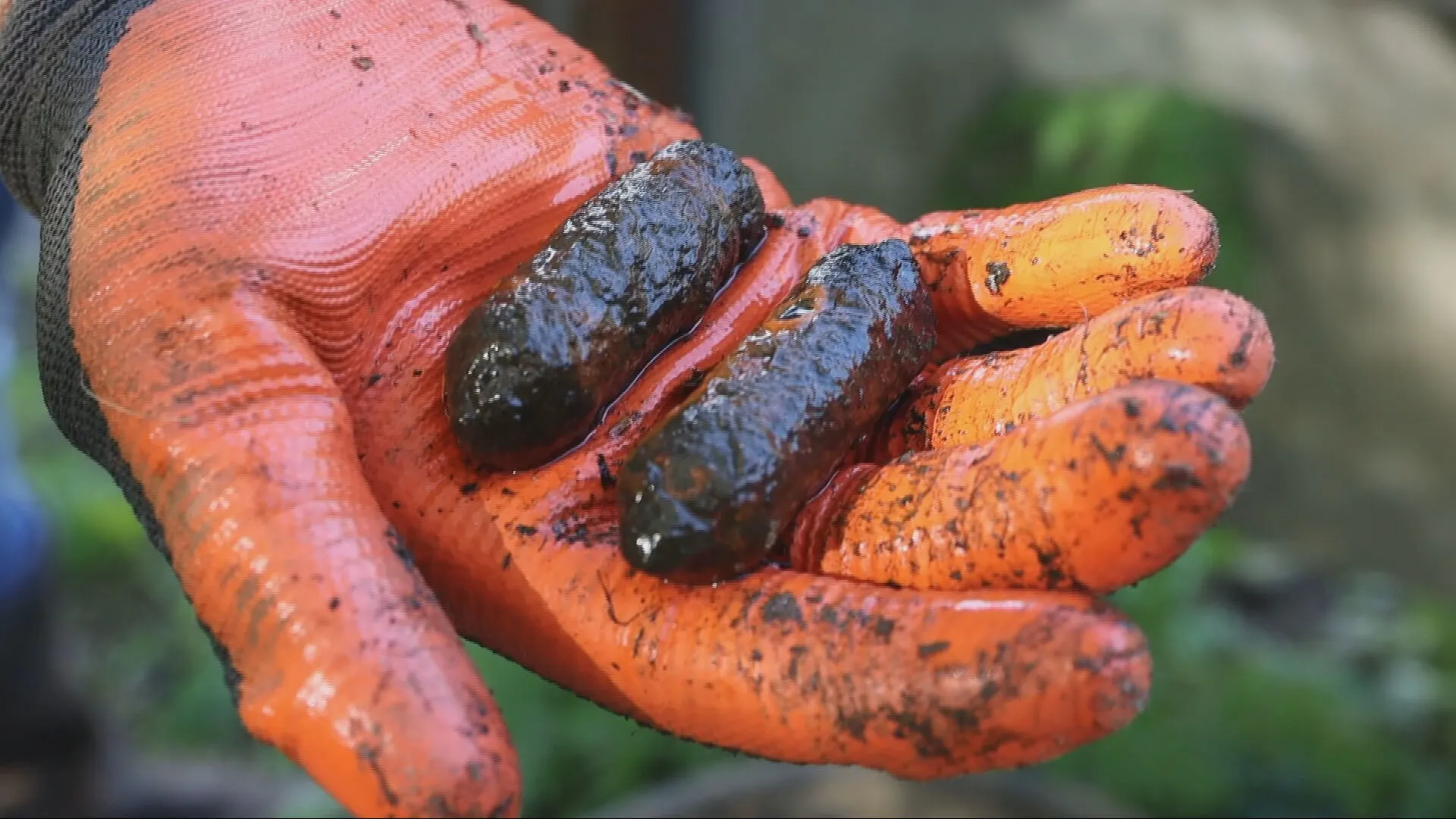 Jongen vist twee granaten uit het water terwijl hij zoekt naar z'n sleutels