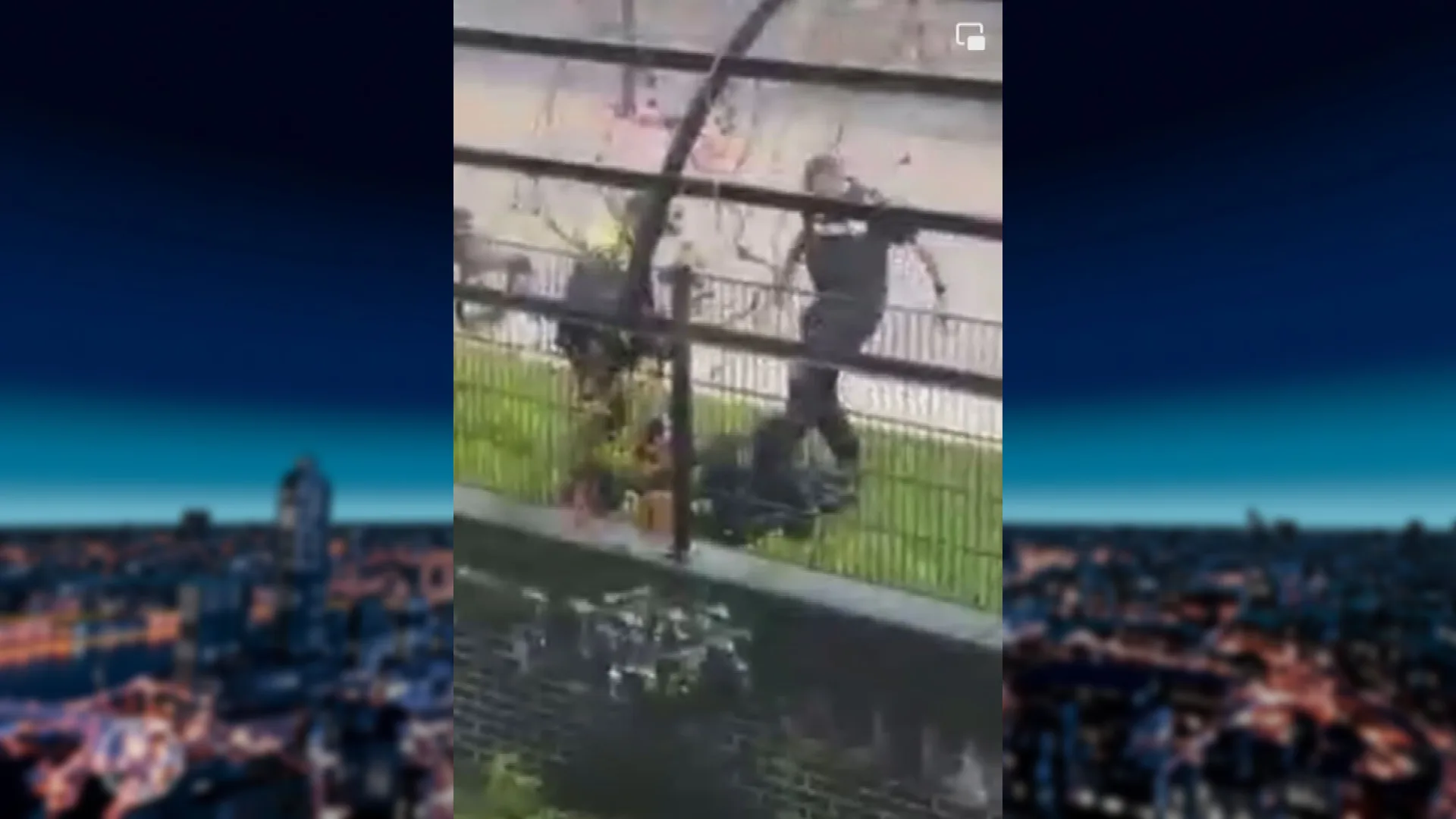 Agent wordt niet vervolgd om 'trap tegen hoofd' coronademonstrant