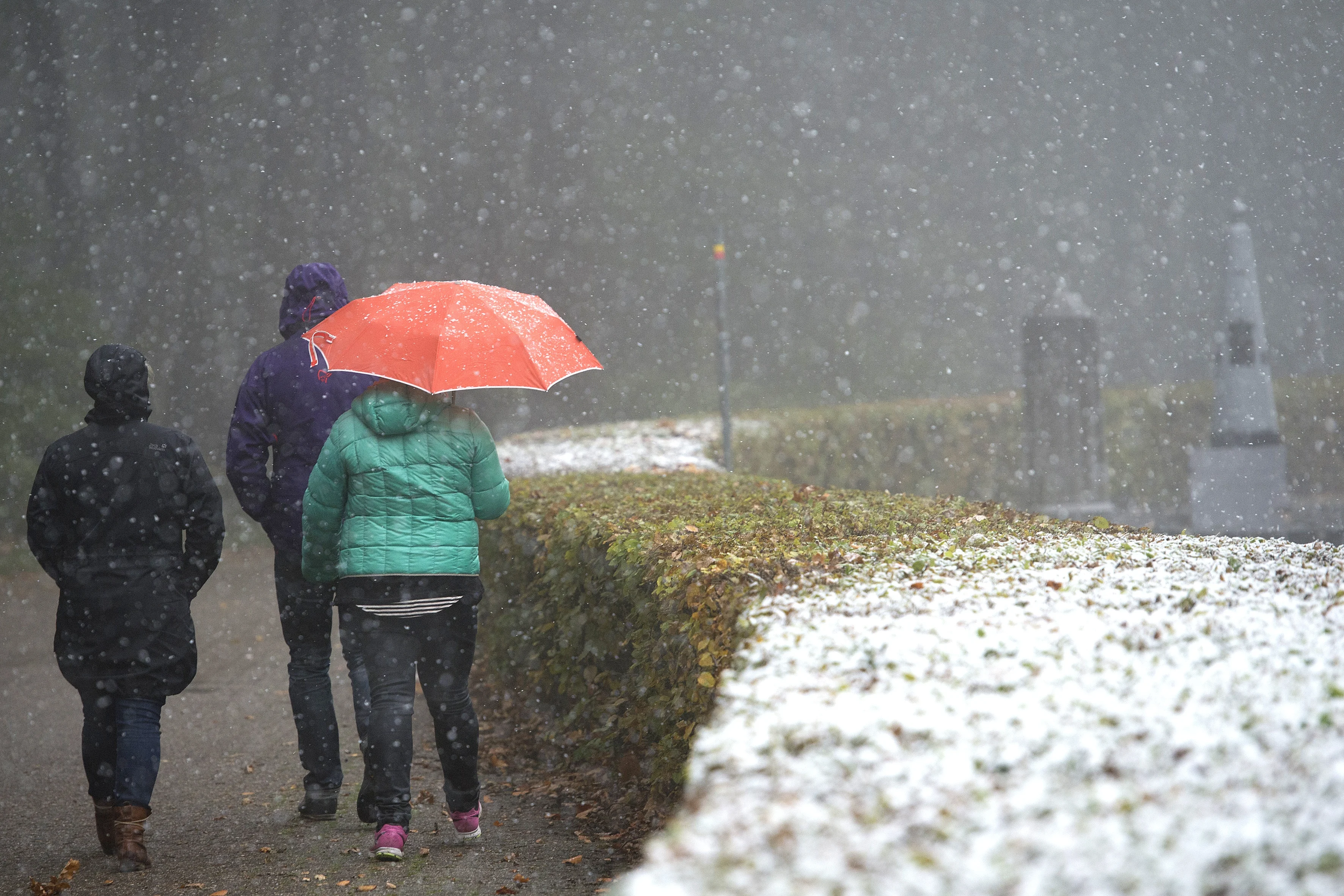 Kou slaat toe: eerste natte sneeuw van het seizoen onderweg