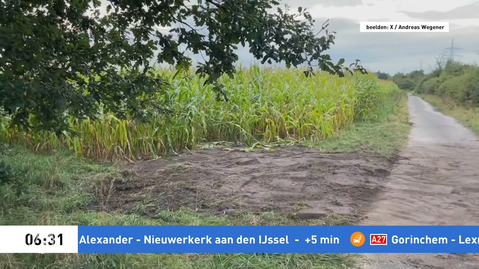 Dode in Duits maisveld was Pool, verbleef mogelijk in Nederland