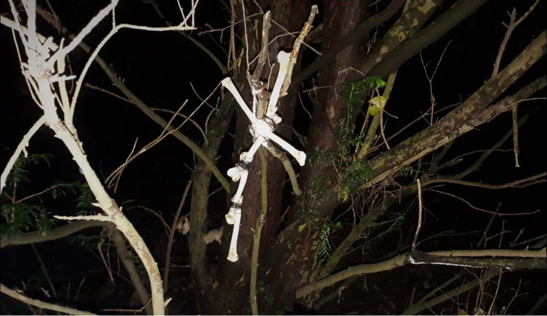 Luguber: wandelaar vindt kruis van botten in boom