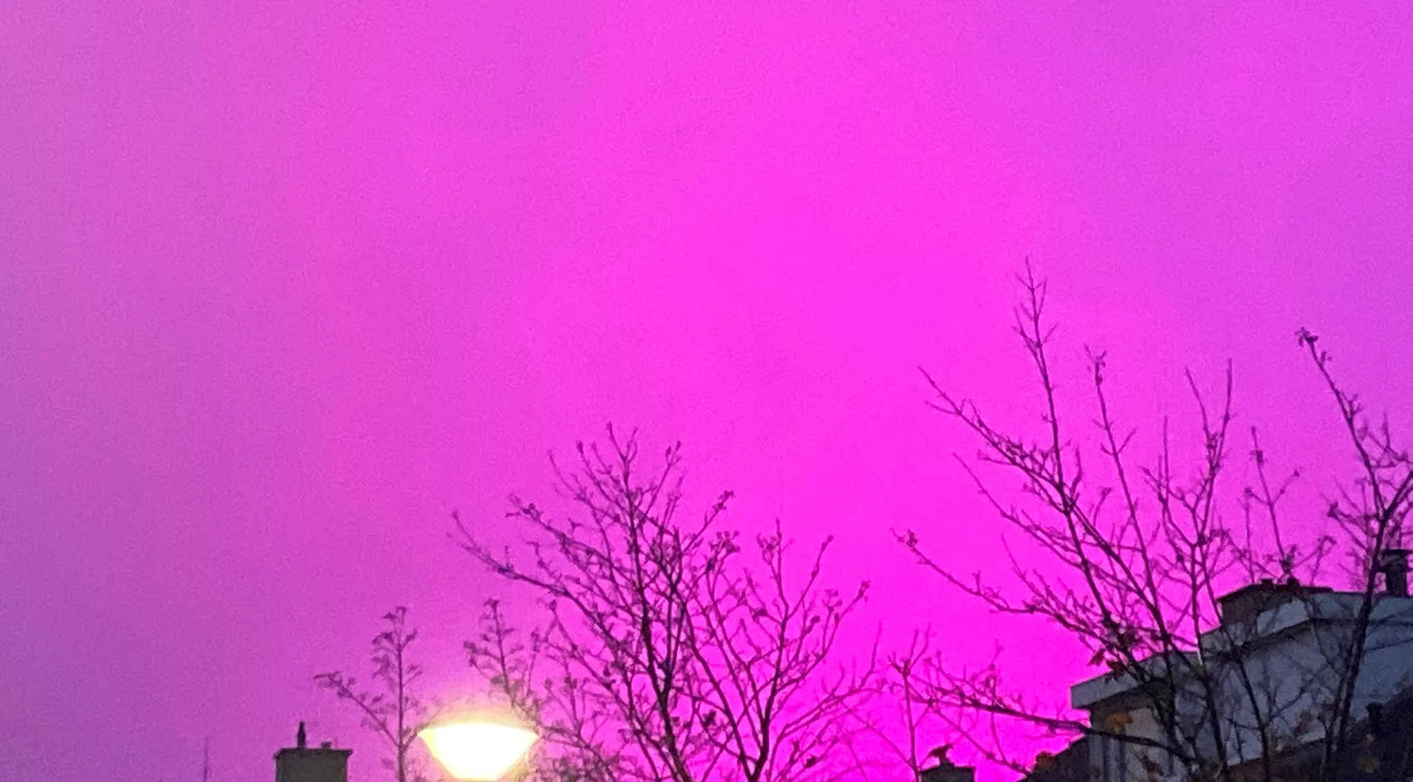 Magische felroze lucht boven Hoek van Holland en Westland: 'Alien-invasie in 3, 2, 1'