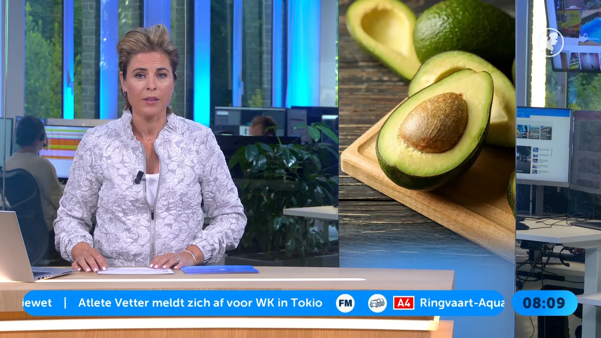 'Kind (11) in coma na eten taco’s op festival, Nederlandse avocado mogelijk oorzaak'