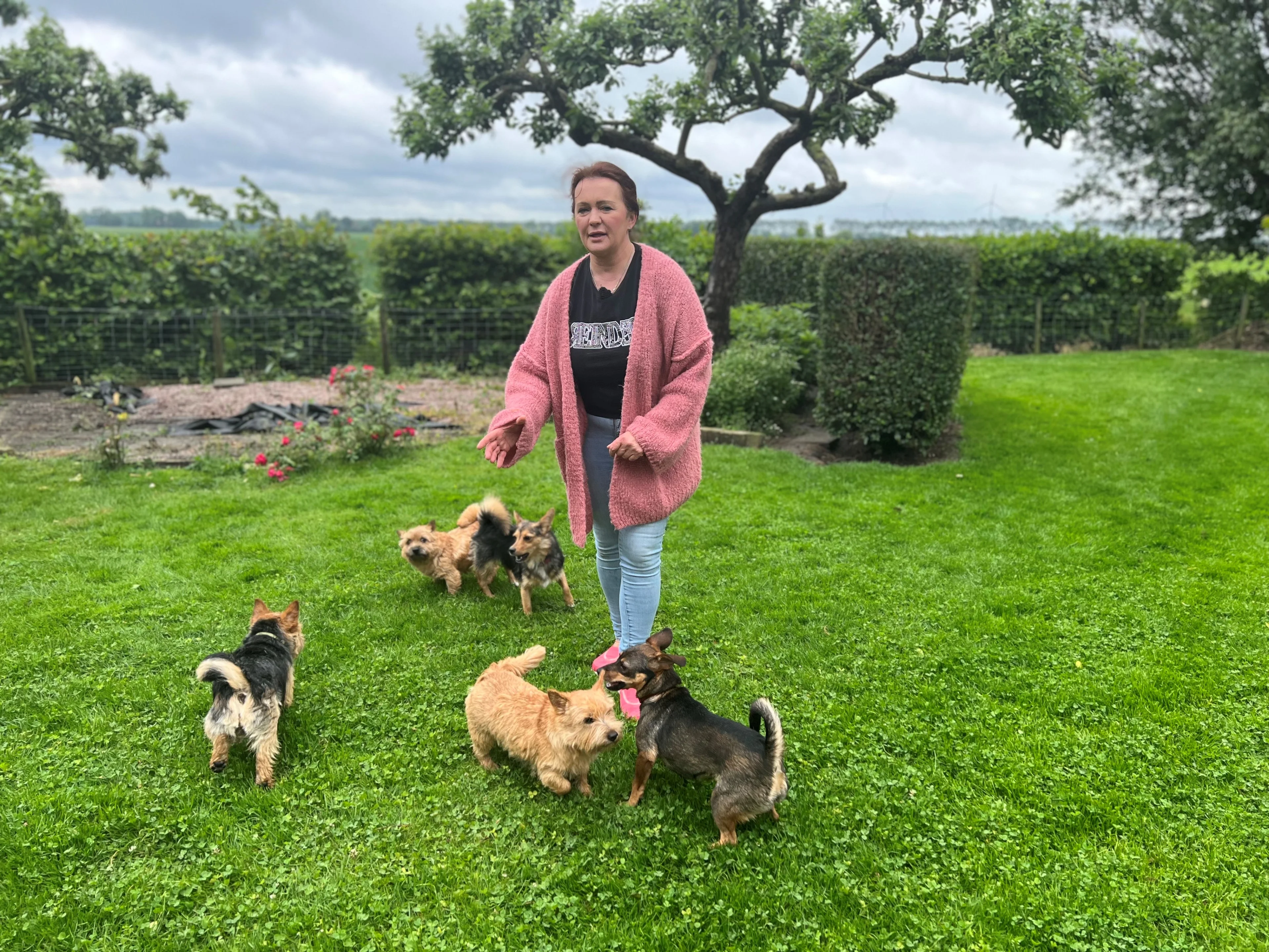 Rechter beslist: Oekraïense Elena krijgt haar 'oorlogshonden' terug