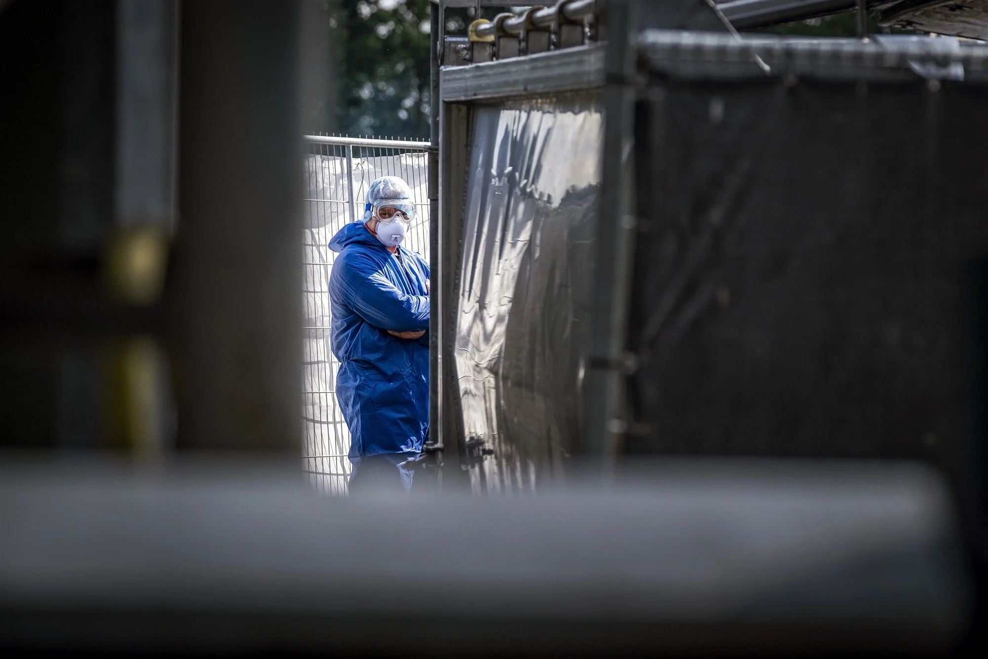 NVWA heeft nertsen op drie fokkerijen afgemaakt