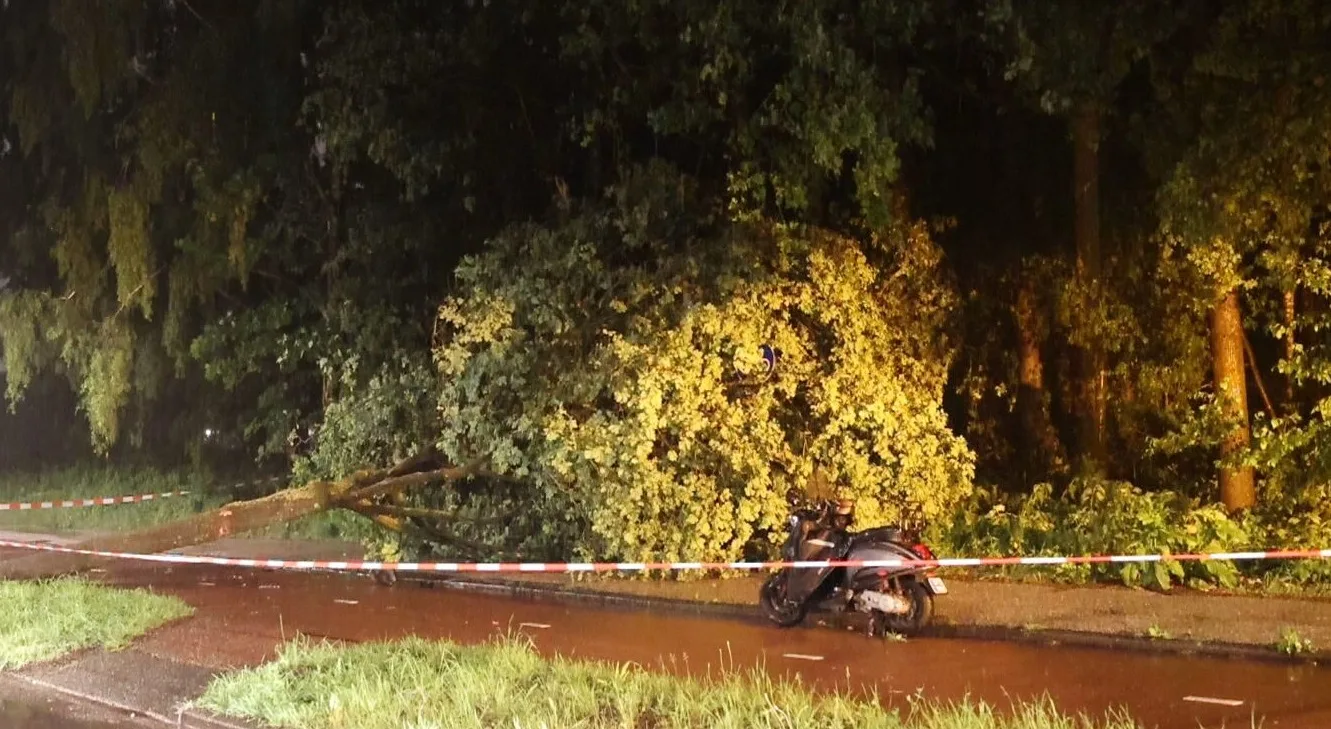 Scooterrijder knalt op omgevallen boom in Amsterdam
