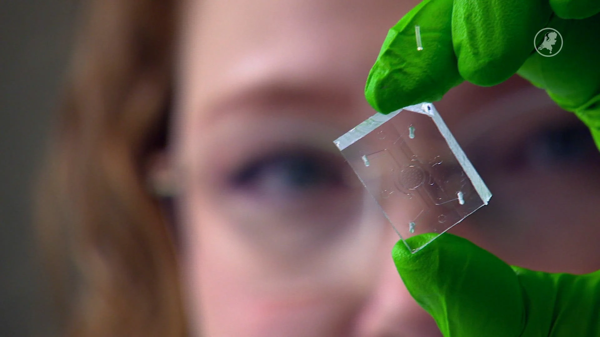 Dierproefvrije toekomst? Innovaties tonen potentieel