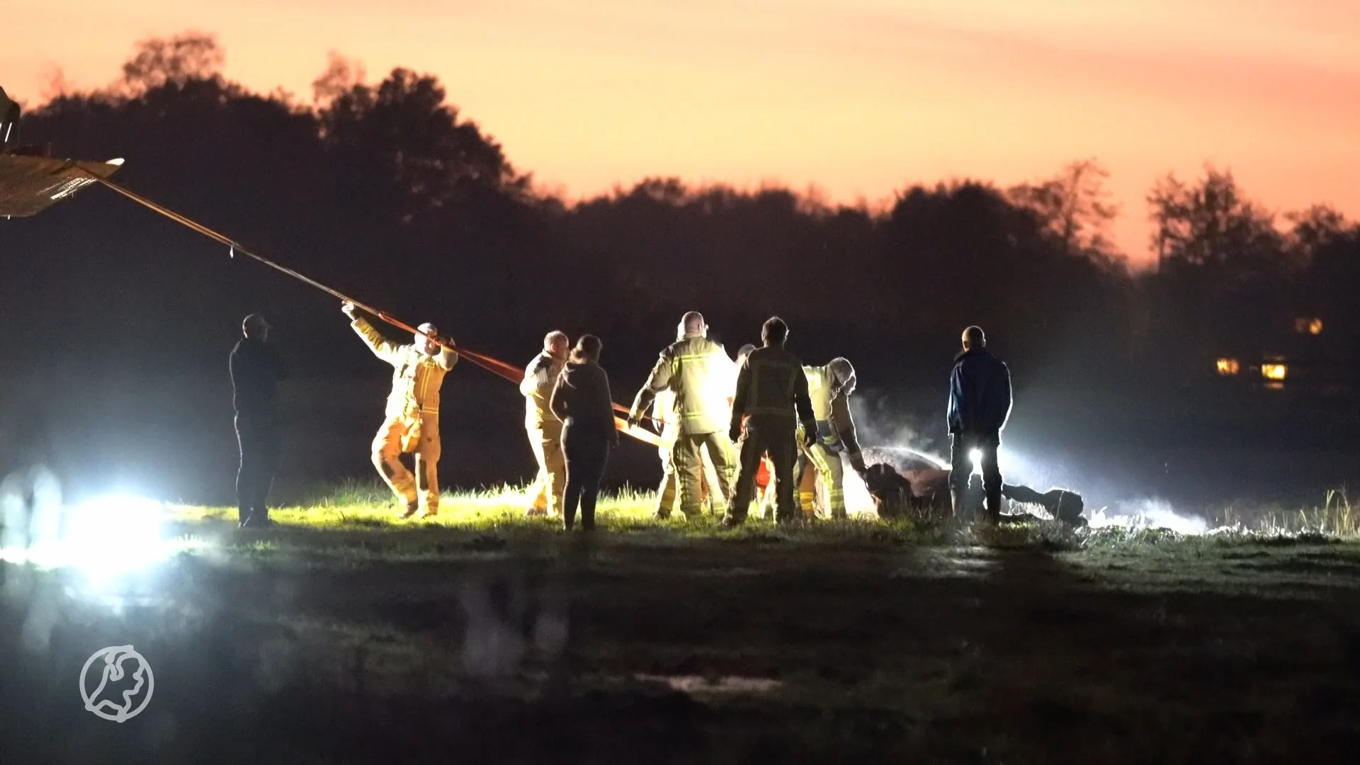 Brandweer redt paard uit sloot in Haren