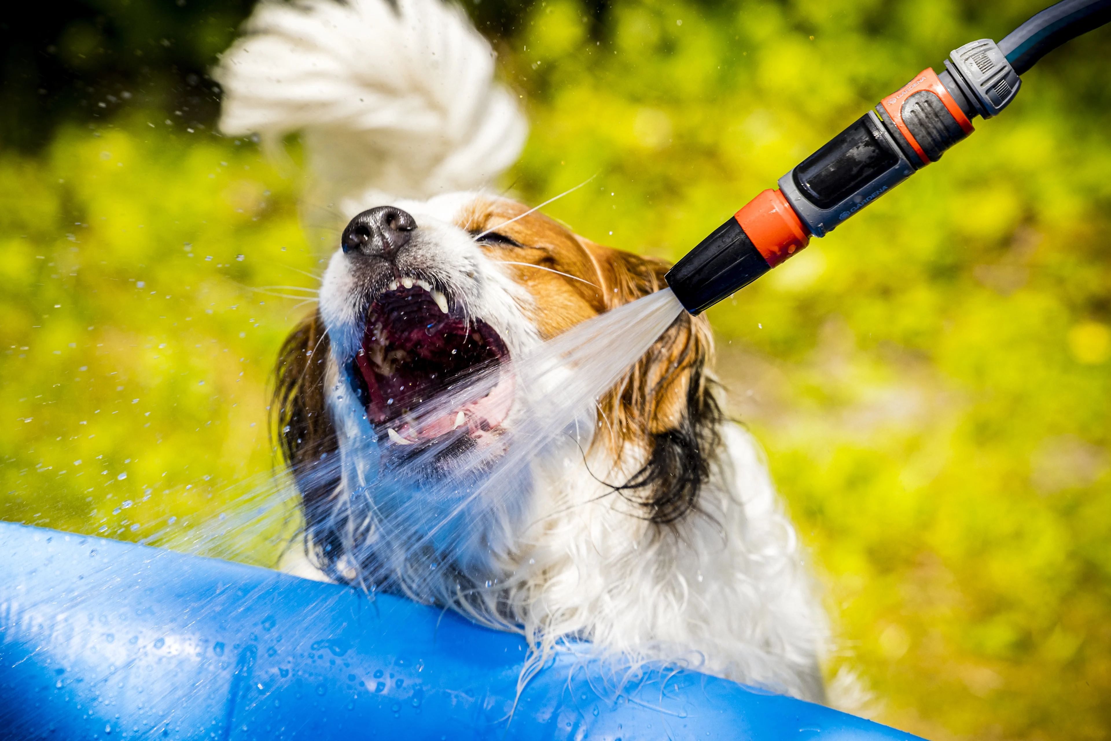 Helft Nederlanders gaat ondanks oproep overheid niet minderen in watergebruik