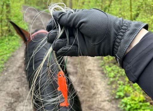 Levensgevaarlijk! Visdraad over ruiterpad gespannen in bos