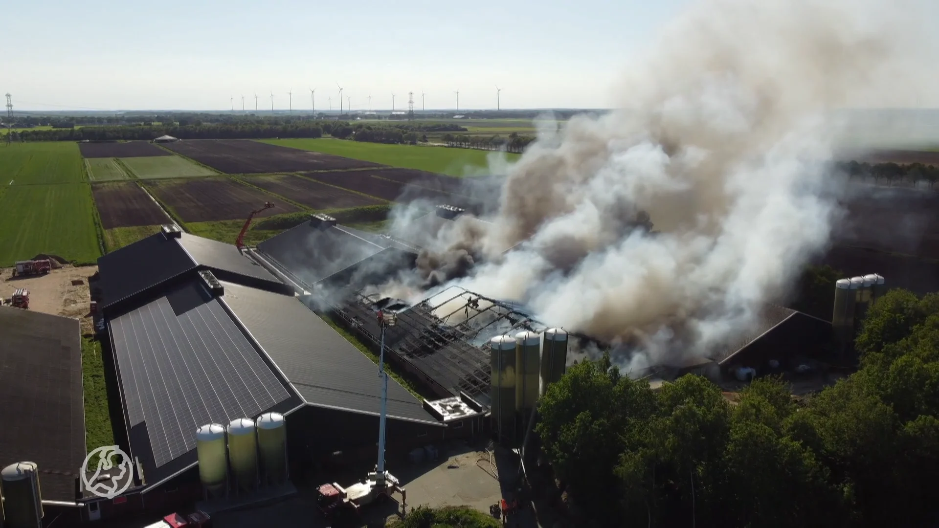 Honderden varkens dood bij schuurbrand in Mussel