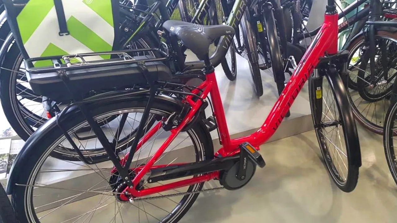 Welke lafaards beroofden de verstandelijk beperkte Armando van zijn e-bike? 'Hij heeft de hele nacht gehuild'