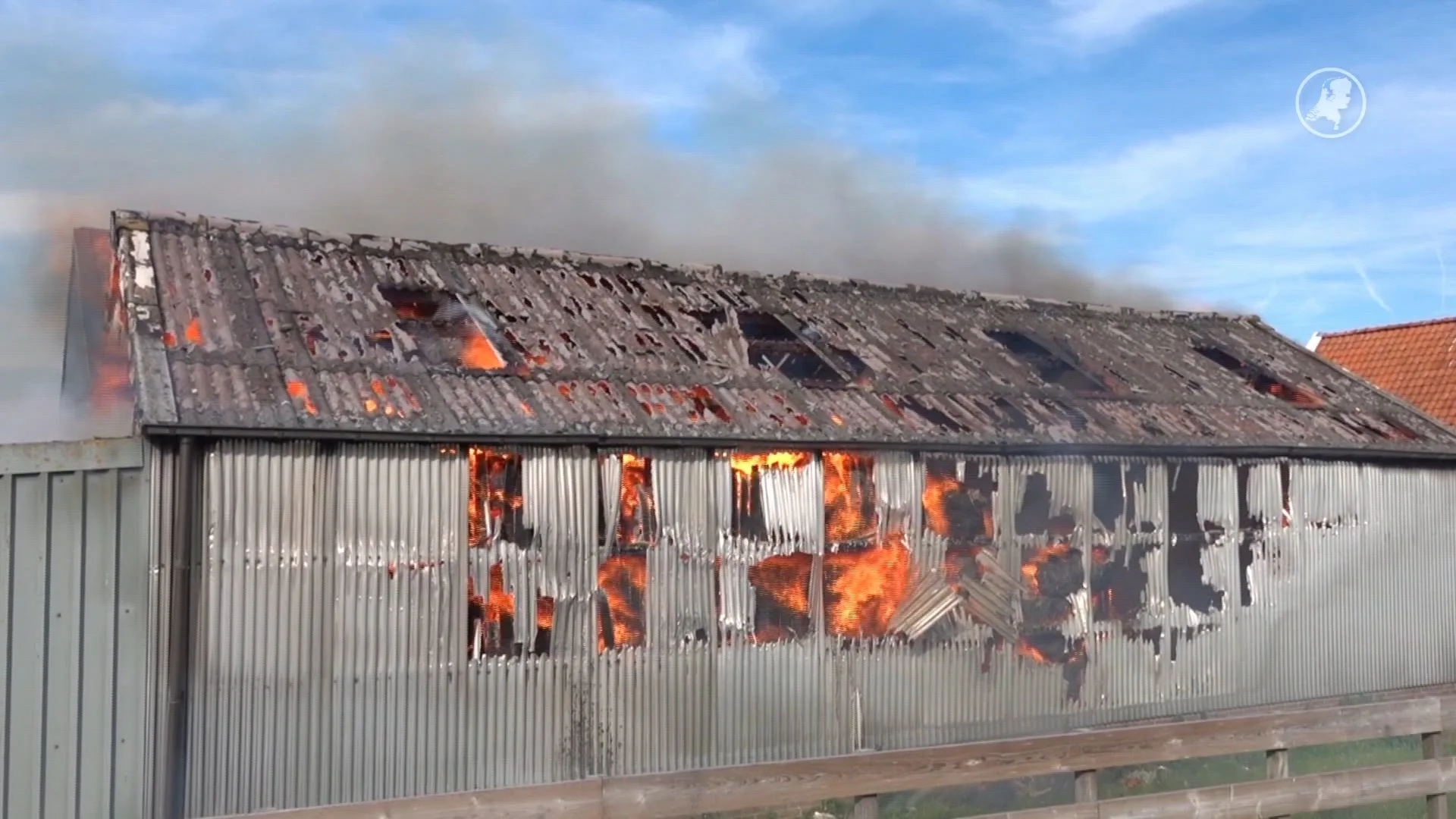 Tientallen schapen gered bij schuurbrand in Avenhorn