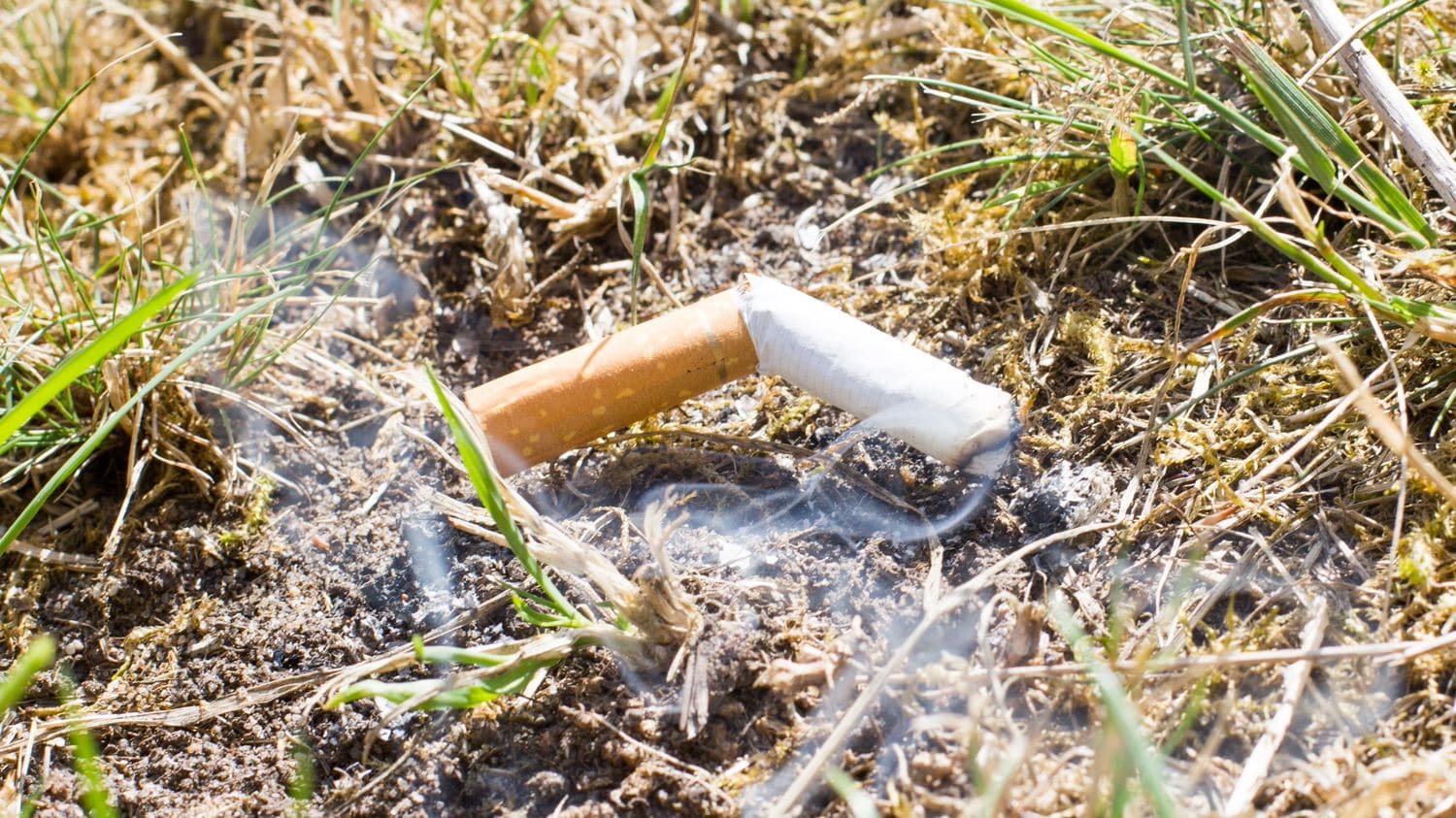 Kans op natuurbranden in Nederland neemt toe door aanhoudende droogte