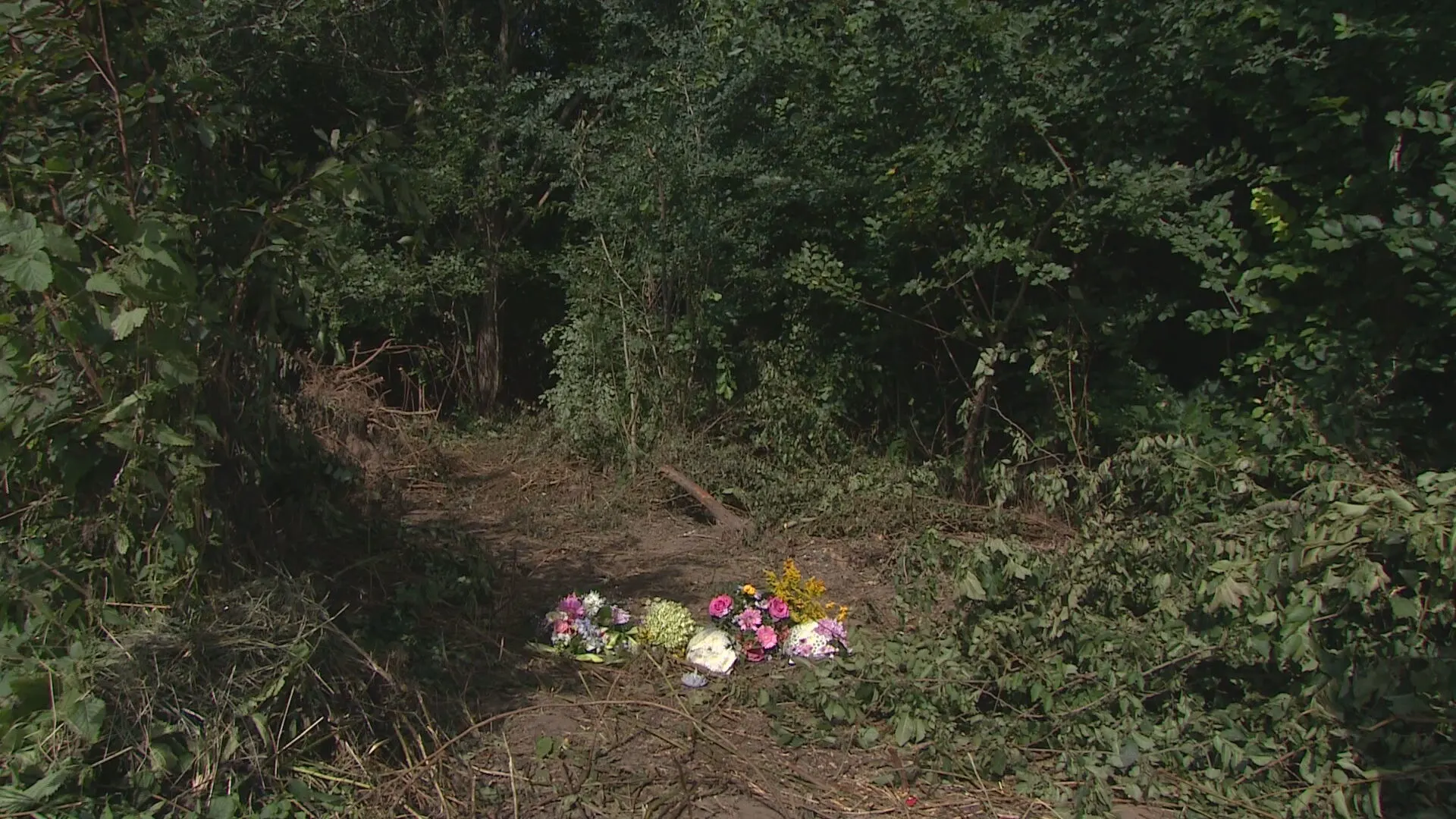 Nederland leeft mee met familie Myrthe en Ruth na tragische afloop vermissing