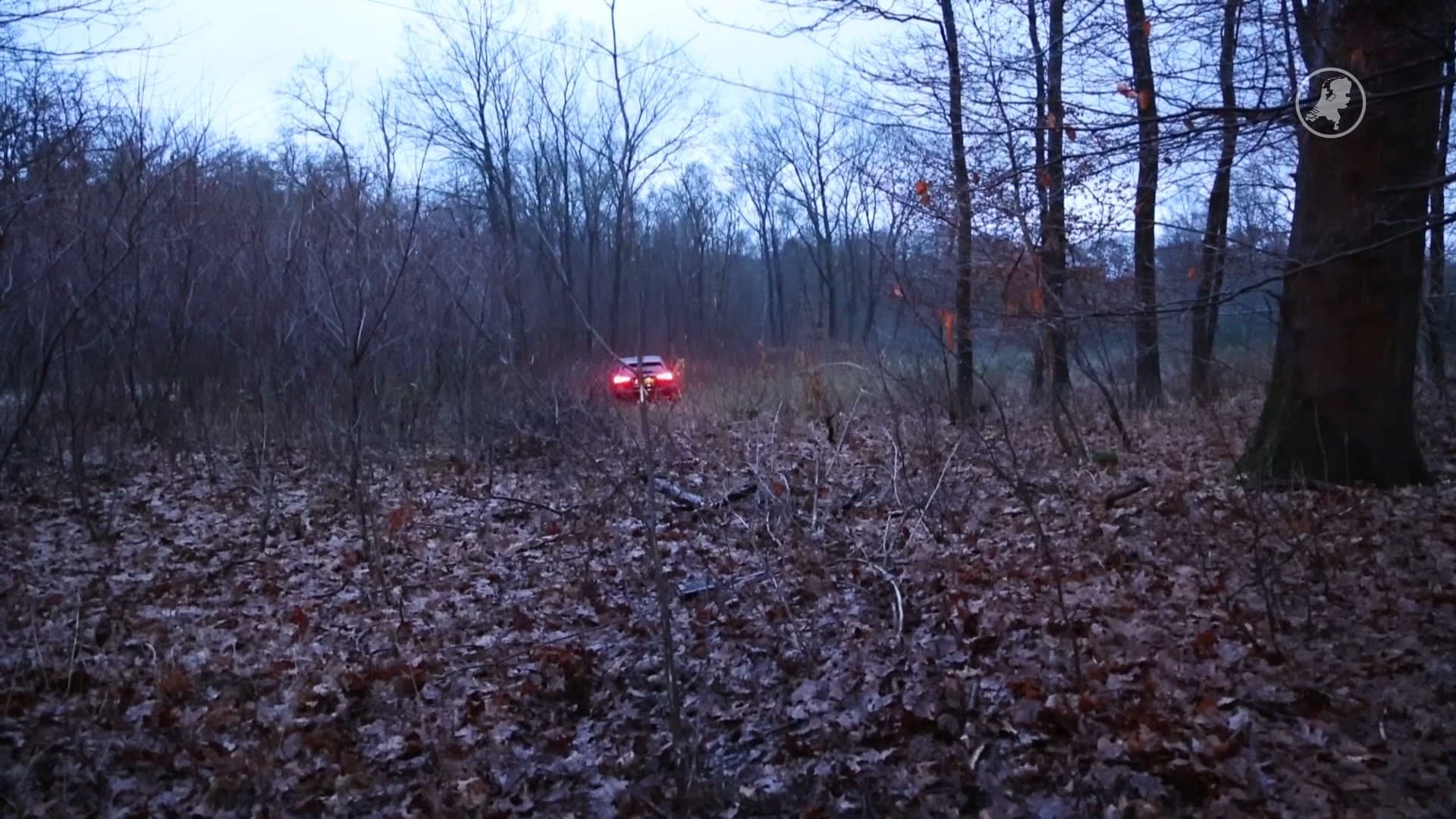 Auto raakt van de weg en raast langs tientallen bomen