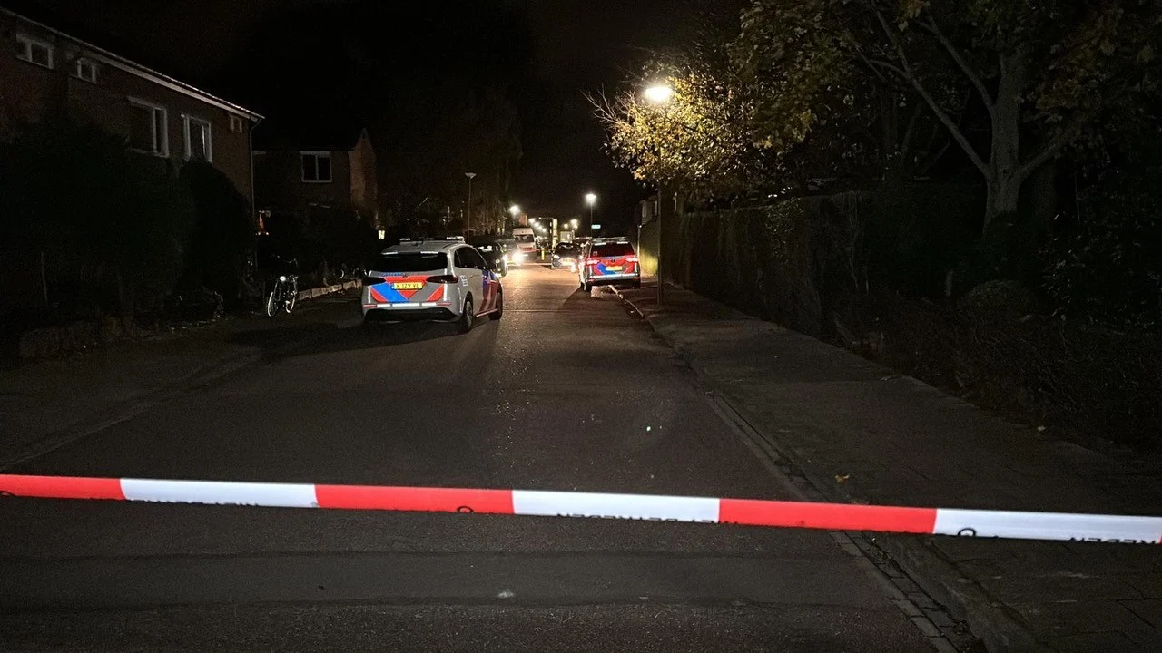 Gemaskerde mannen overvallen woning in Stein