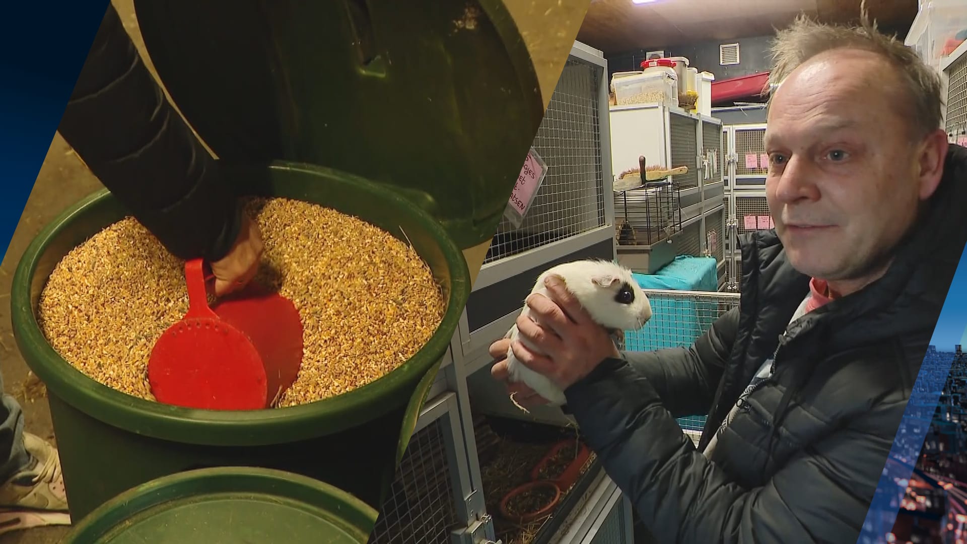 Dierenopvang vreest gevolgen hogere btw: ‘Honderden euro’s extra per week kwijt'