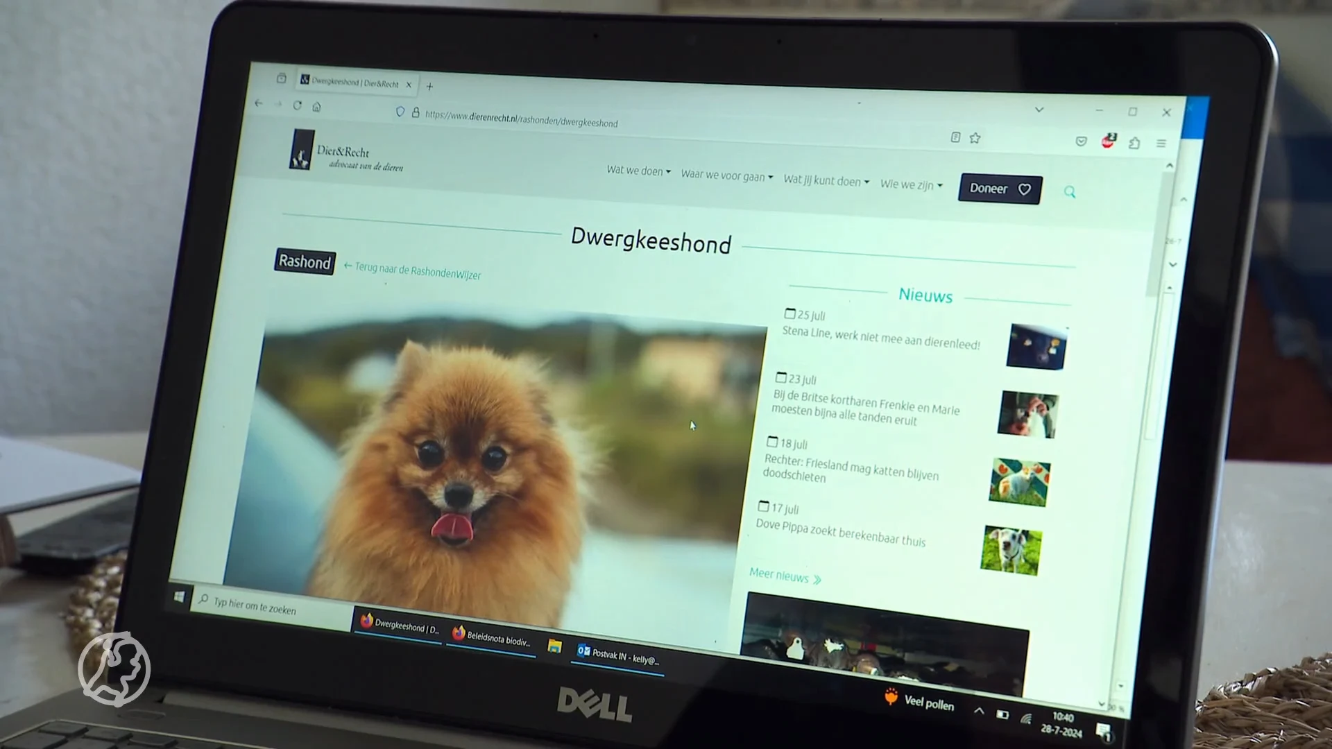 Bonnie's hondje was zo doorgefokt dat ze haar moest laten inslapen: 'Koop dit soort hondjes niet'