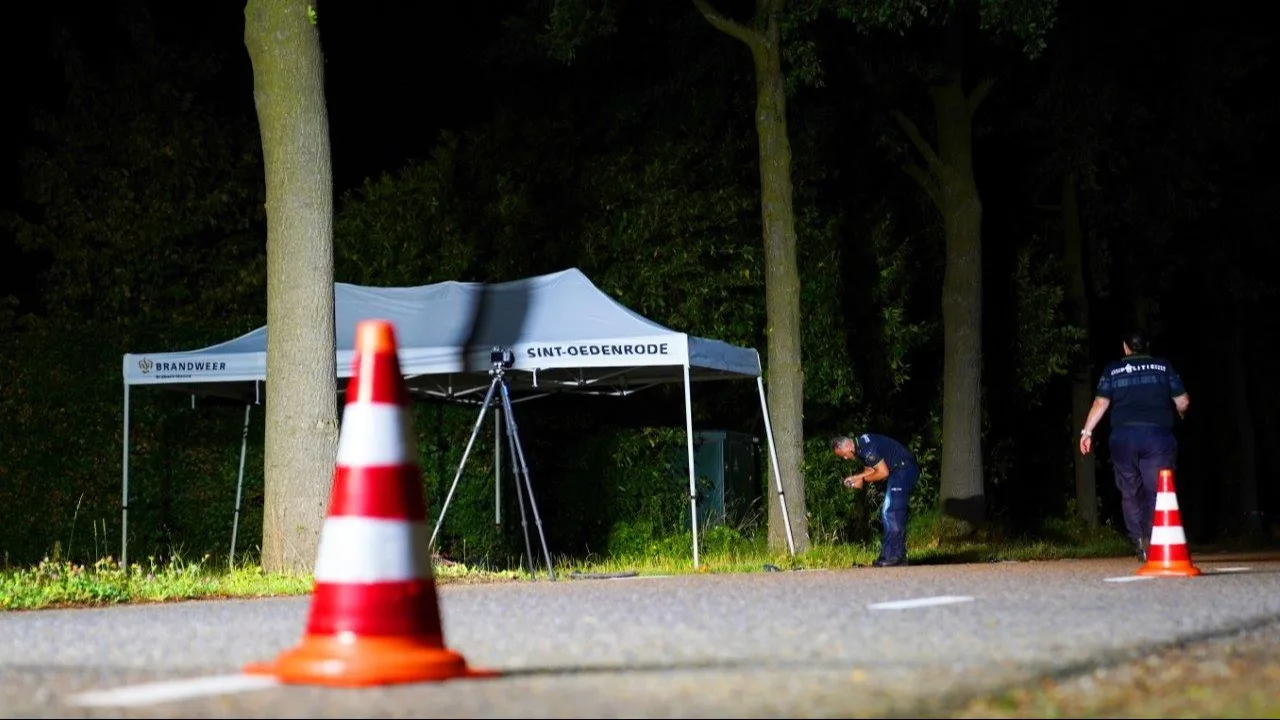 Vrouw (79) doodgereden tijdens uitlaten hondje, man vindt haar langs de weg