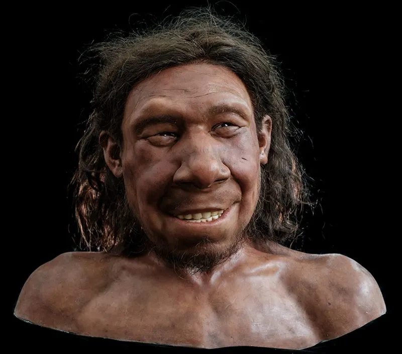 Nederlandse neanderthaler Krijn krijgt gezicht: zo zag hij er uit