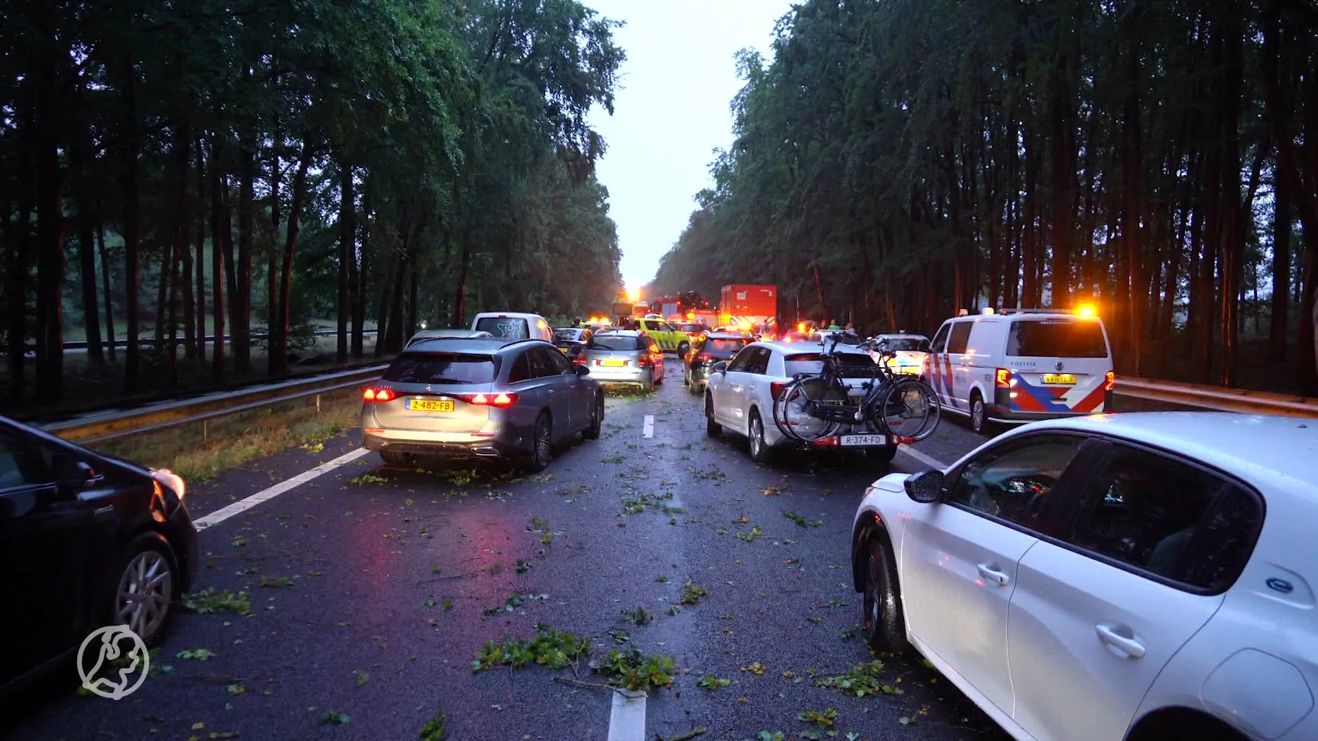 Ravage op A28, tientallen bomen op snelweg gewaaid
