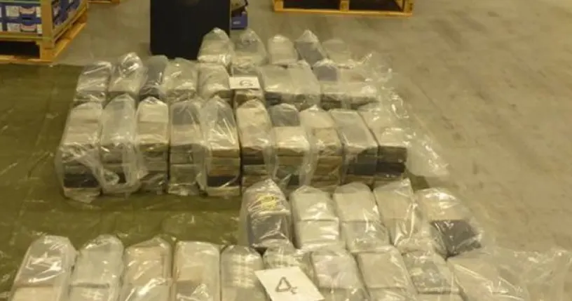 Rotterdamse douane vindt 500 kilo cocaïne tussen de mango's