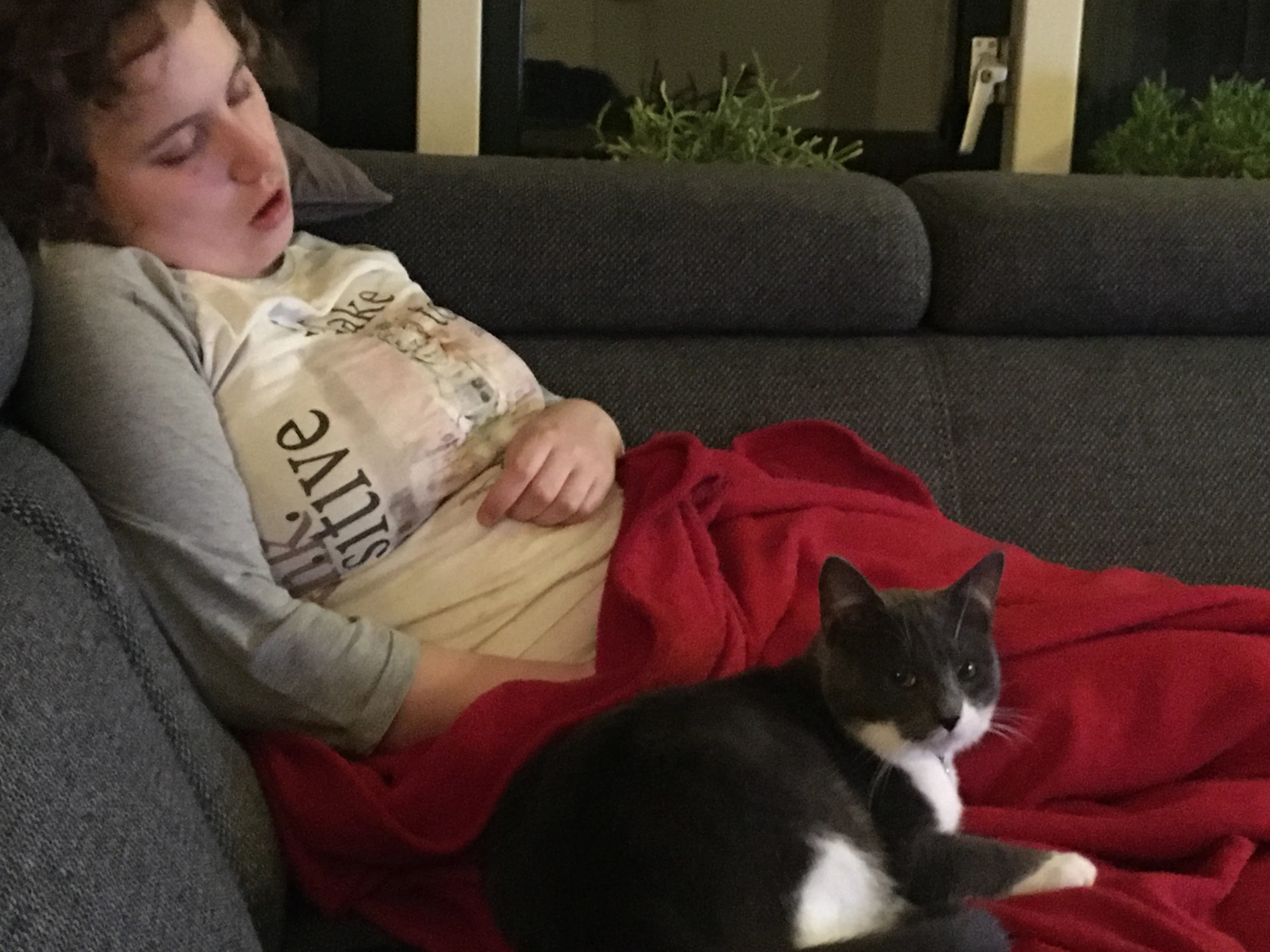 Waar is de 'autisme-kat' van Anne? 'Dier is grote steun voor haar'