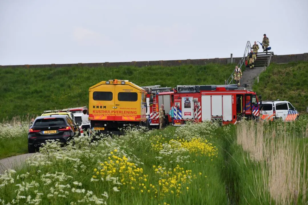 Duiker verdrinkt in het Grevelingenmeer