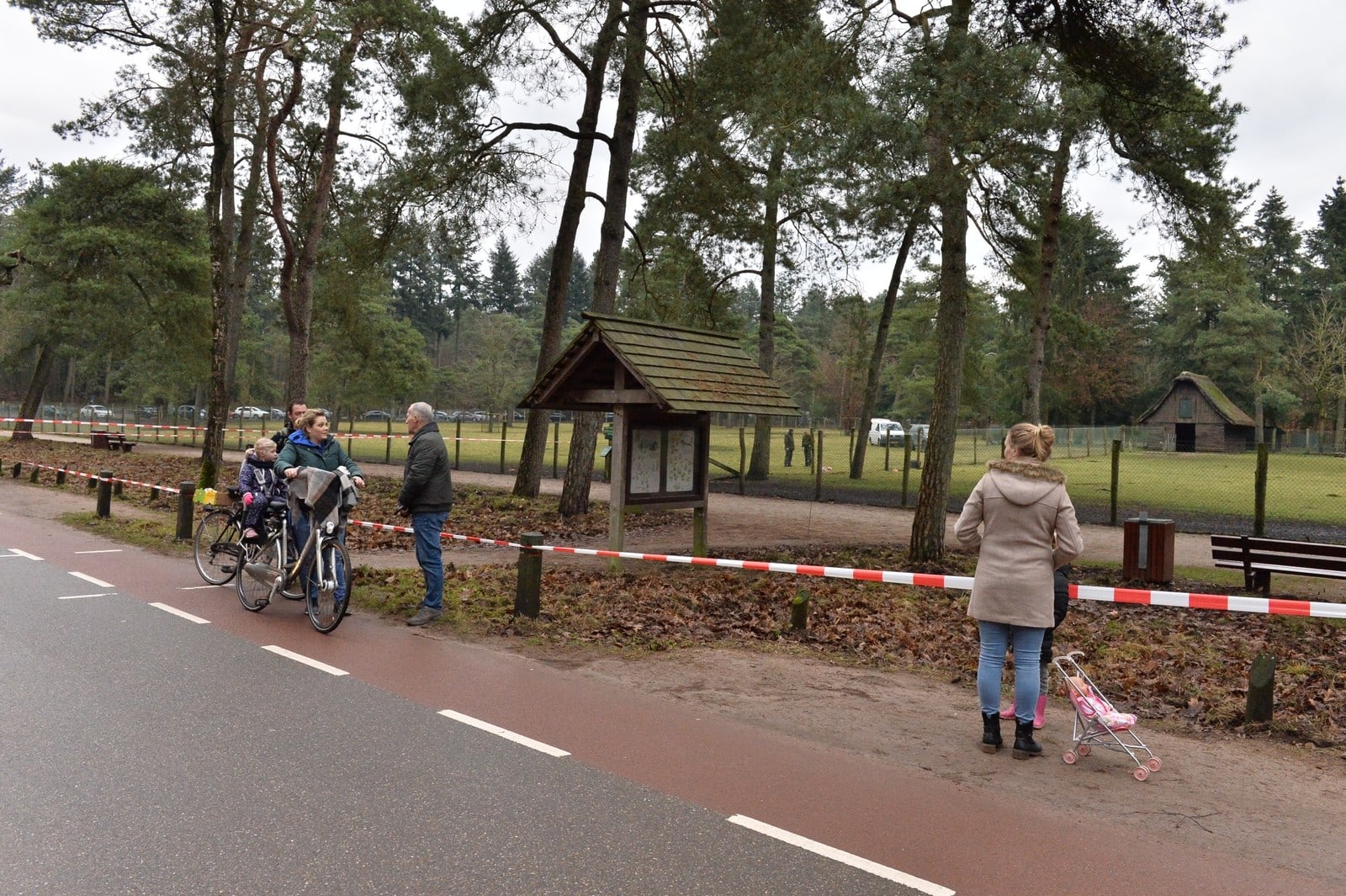 Damhert gedood in Epe, ingewanden achtergelaten