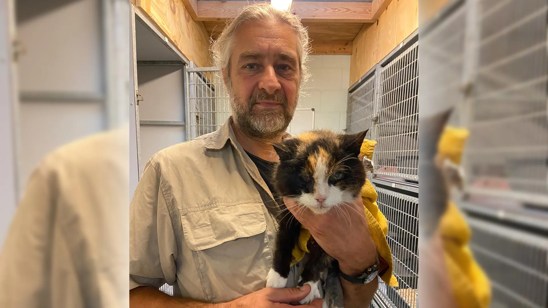 Vermiste poes Loesje na bijna twaalf jaar onverwacht levend teruggevonden