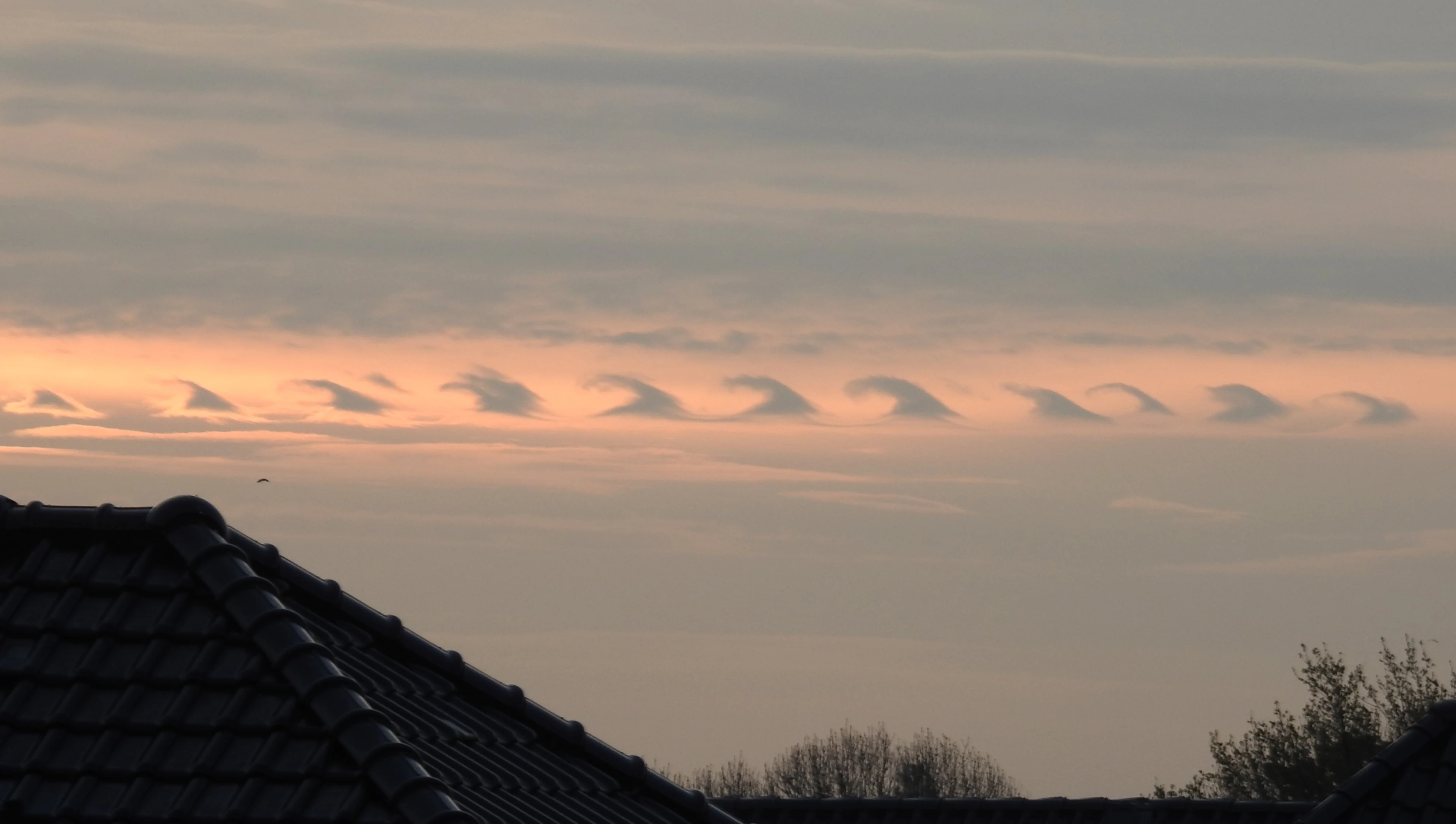 Hemelvaartsweekeinde: zon en ook af en toe een bui