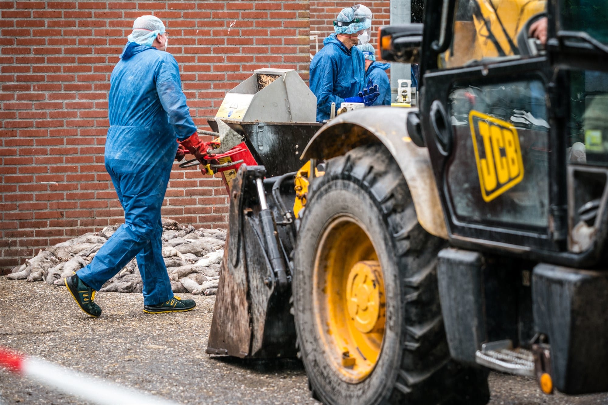 Petitie tegen miljoenen voor nertsenfokkers al 6000 keer getekend