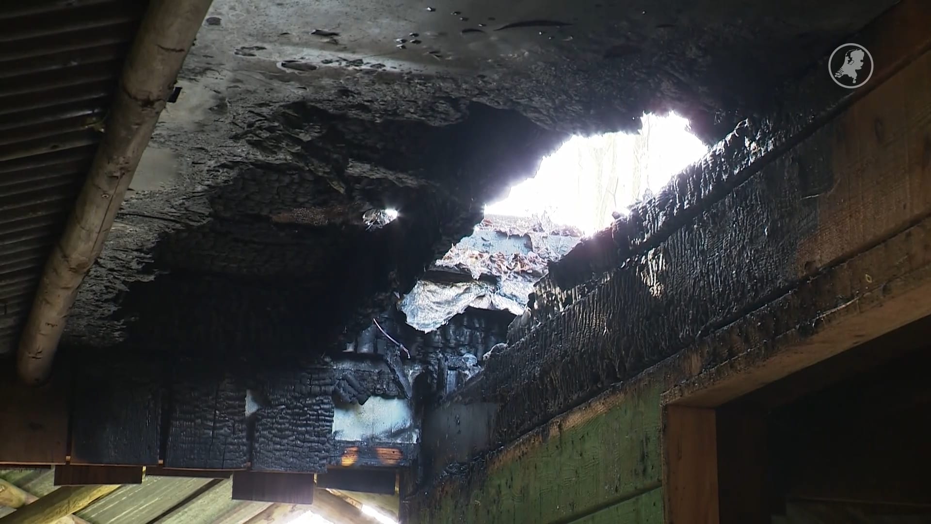 ZooParc Overloon in rouw na brand waarbij zes doodskopaapjes omkwamen