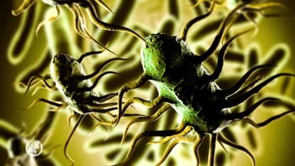 Jumbo haalt vleeswaren uit de schappen