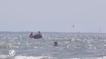 Recordaantal reddingen tijdens hitte, Reddingsbrigade luidt noodklok