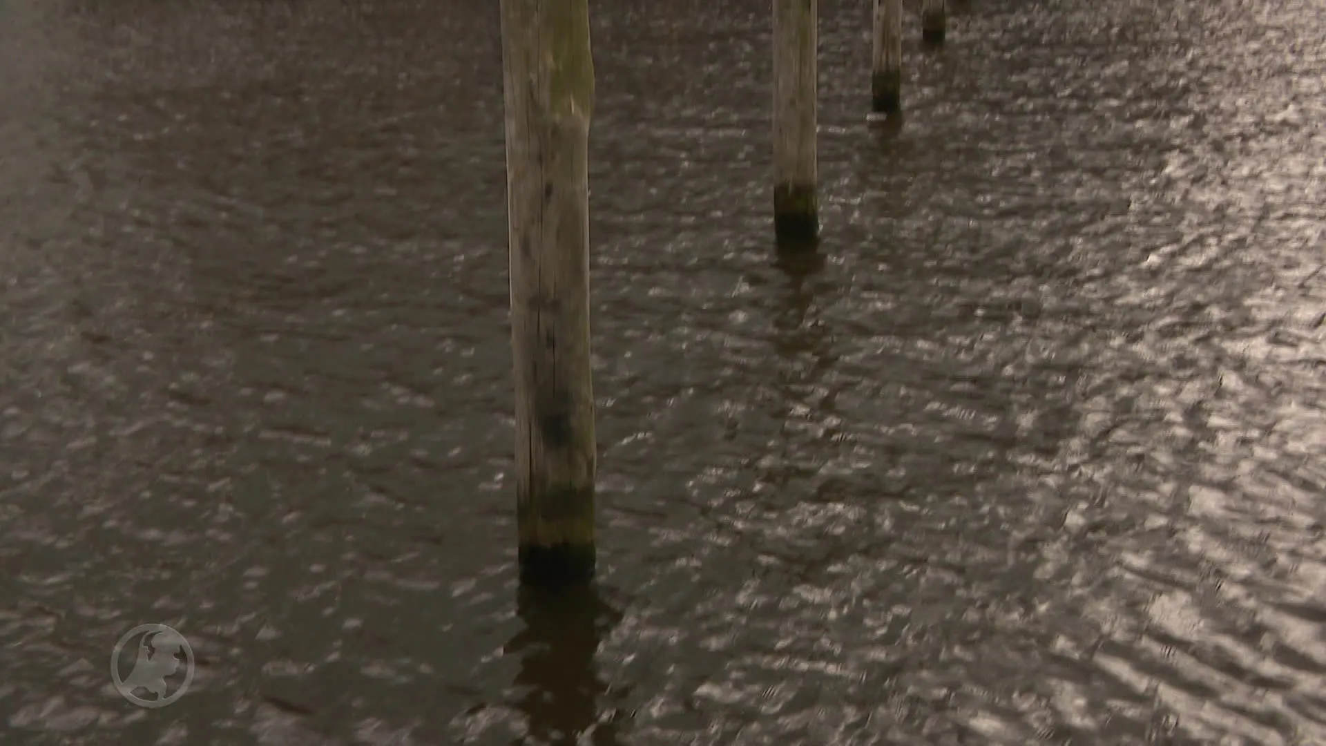 Geliefde hotspot Het Theehuis in Grou feestelijke heropend