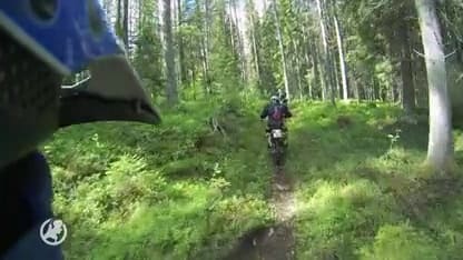 Emigratiebeurs: de Zweden willen ons massaal hebben!