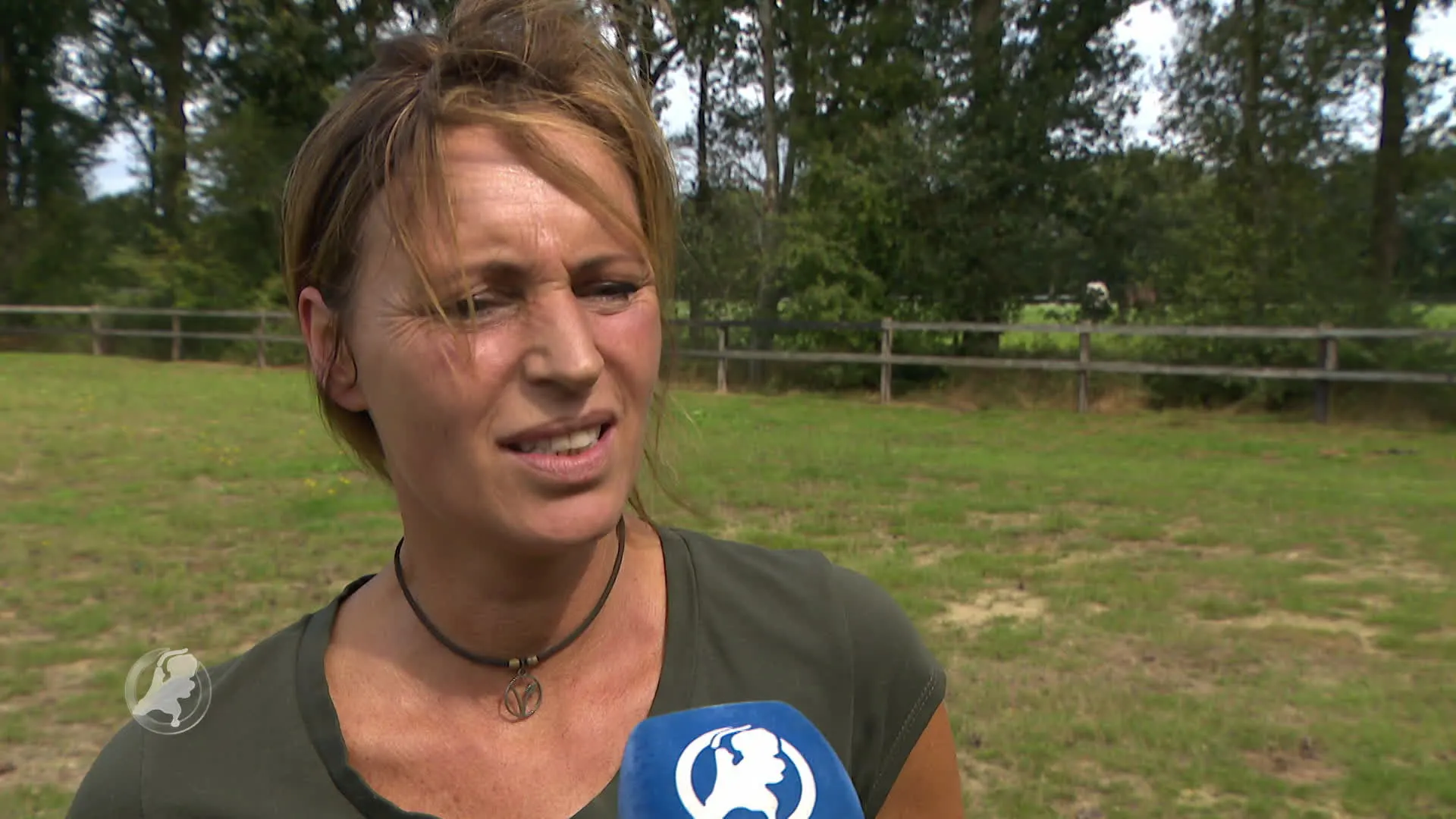 Hanneke en haar 54 dieren nu echt dakloos