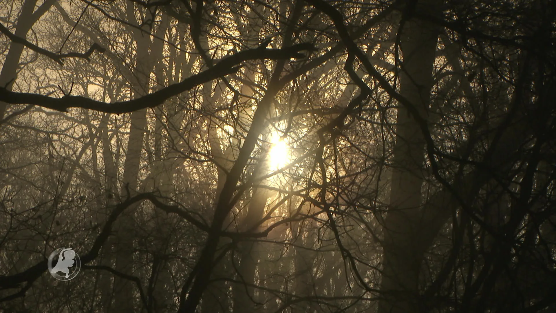 Menzis: vergoeding depressies op basis van resultaat
