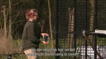 Coronacrisis desastreus voor Stichting AAP