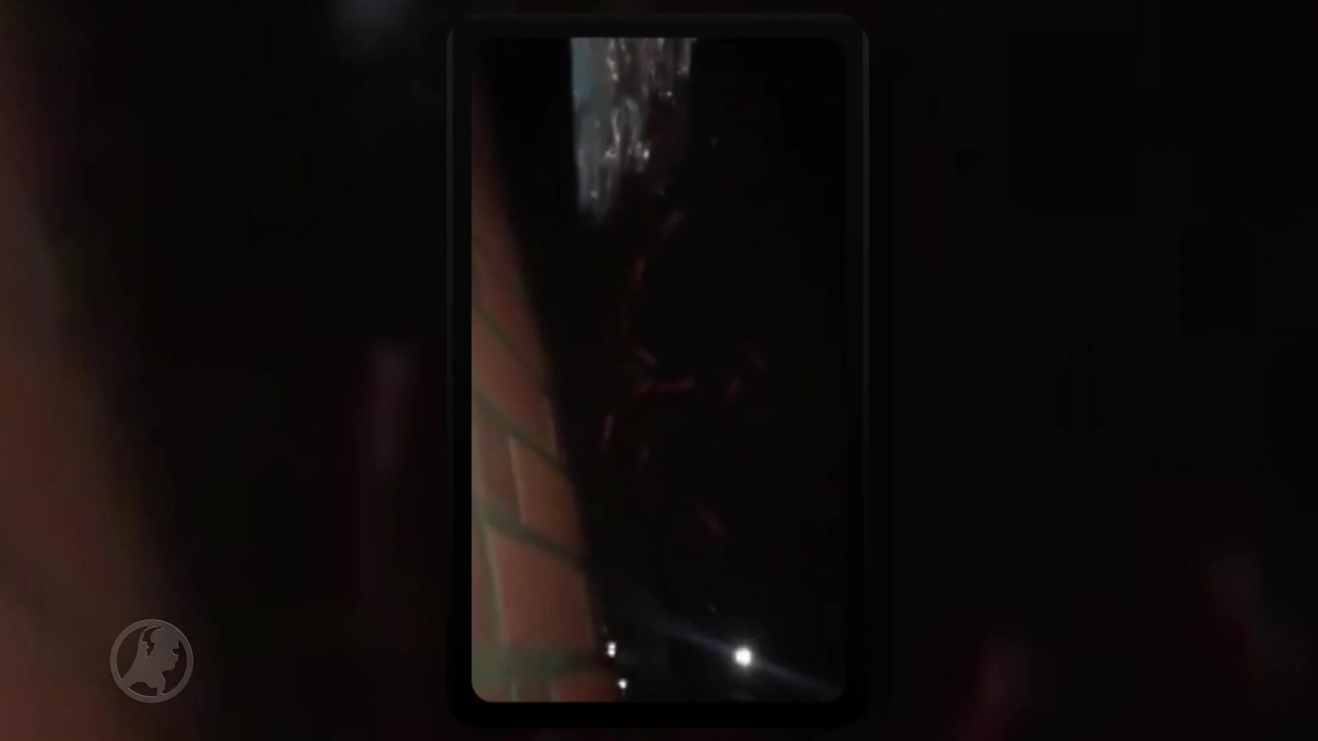 Karige vangst voor 'Goudvissenbevrijder des Vaderlands'